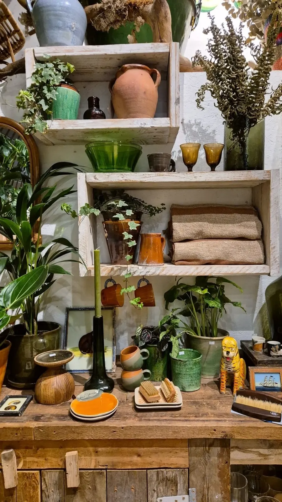 Beautiful Flower Shops in London: Forest, Deptford, South East London
