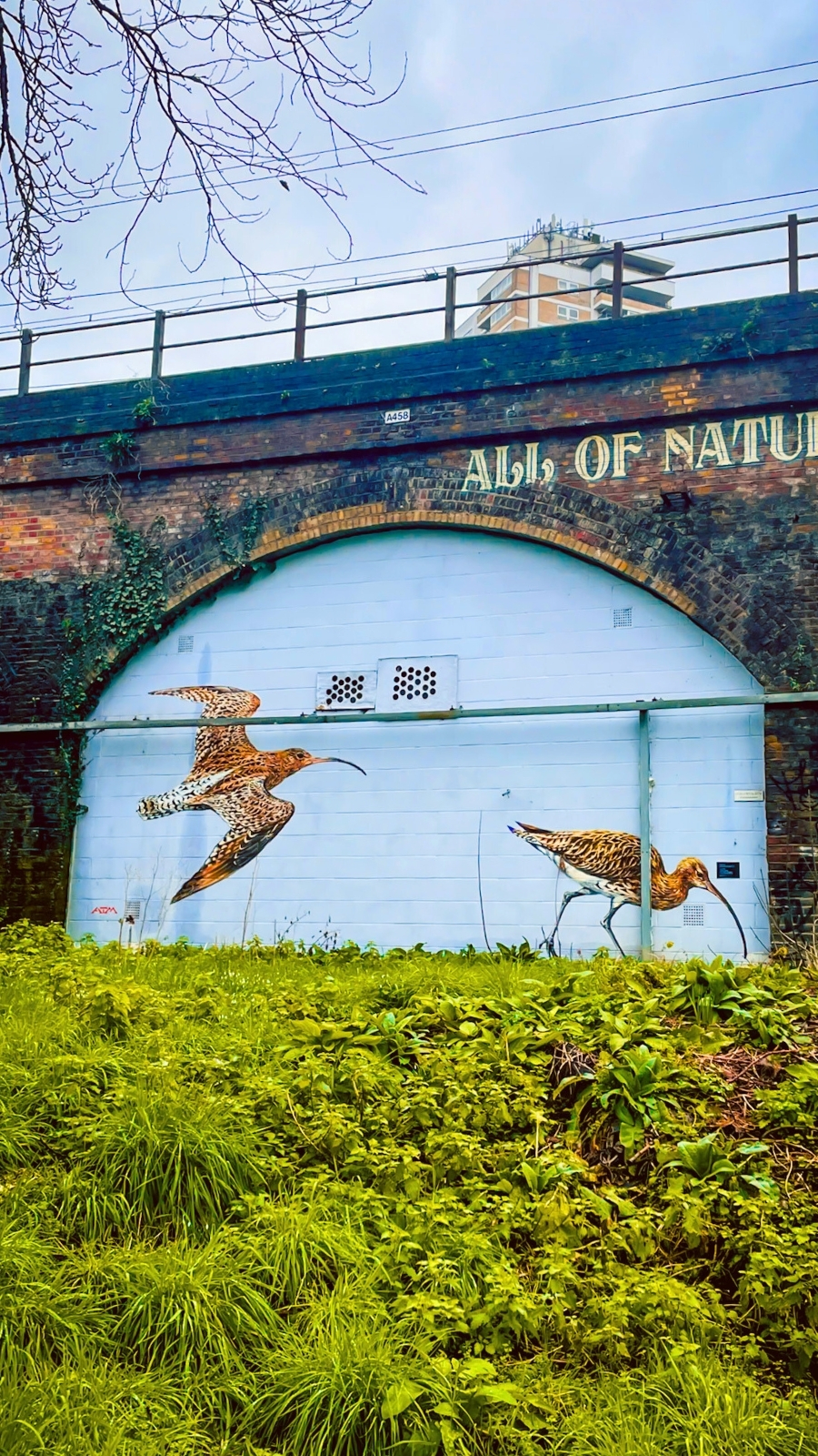 ackroyd drive greenlink east london photos - secret natural reserves in london travel guide - where to see nature in london - hidden gems in london - best street art in london bucket list off the beaten path