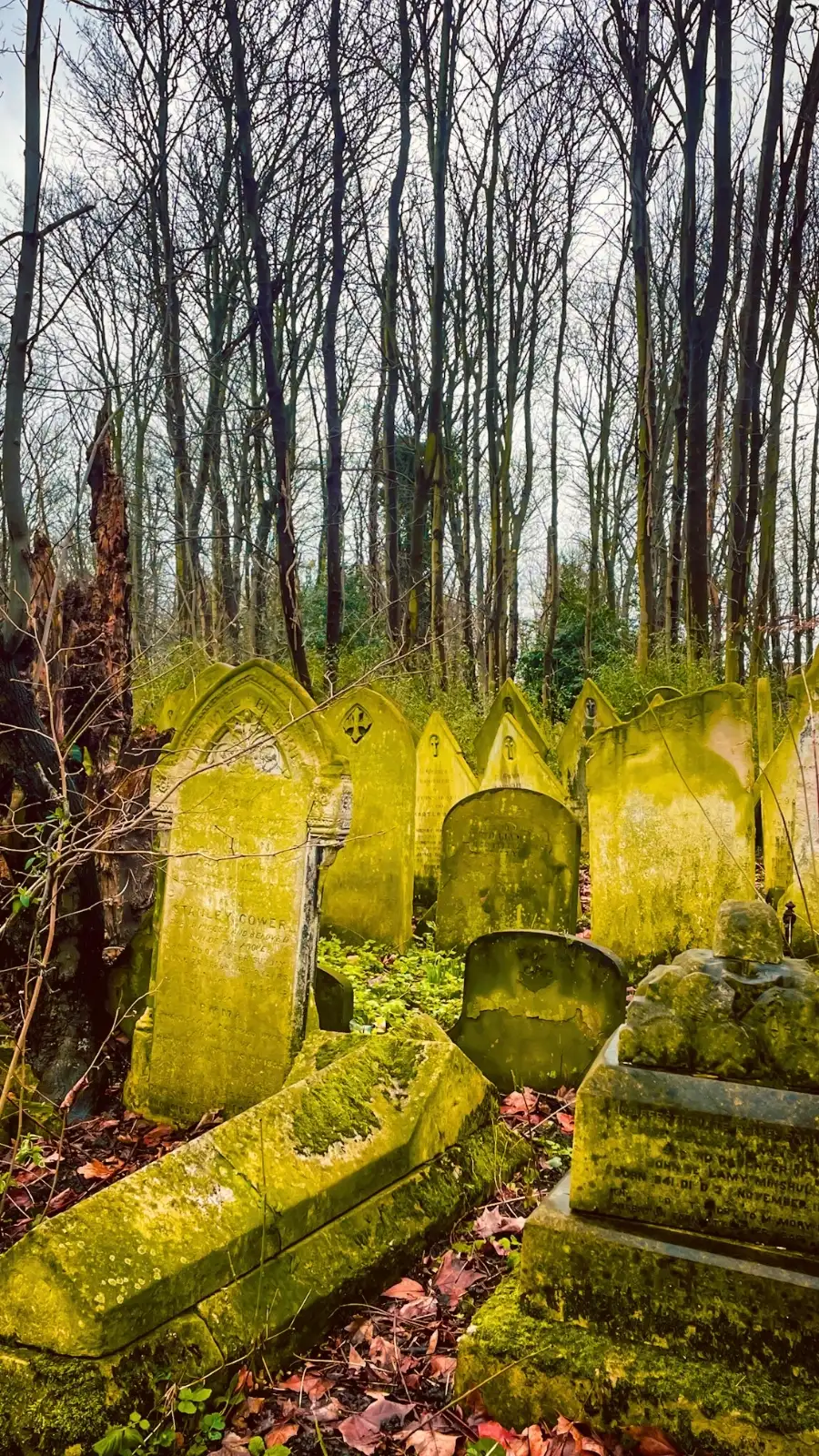 how to visit tower hamlets cemetery park east london mile end photos - victorian magnificent seven cemeteries in london - free things to do in london off the beaten path autumn spring - nature in london - beautiful sculptures in london