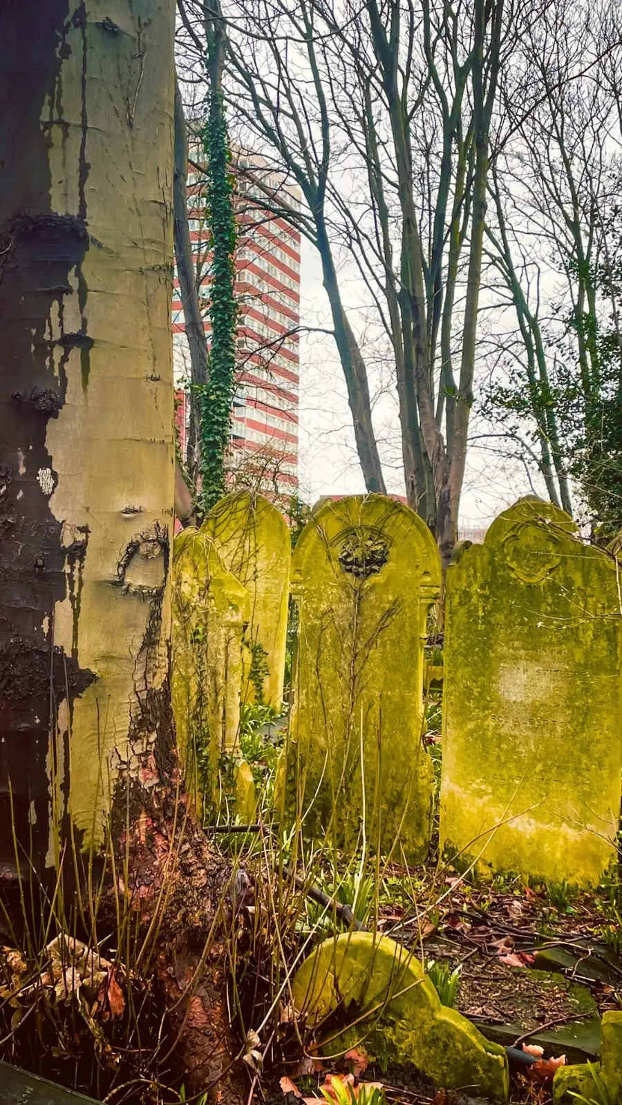 how to visit tower hamlets cemetery park east london mile end photos - victorian magnificent seven cemeteries in london - free things to do in london off the beaten path autumn spring - nature in london - beautiful sculptures in london