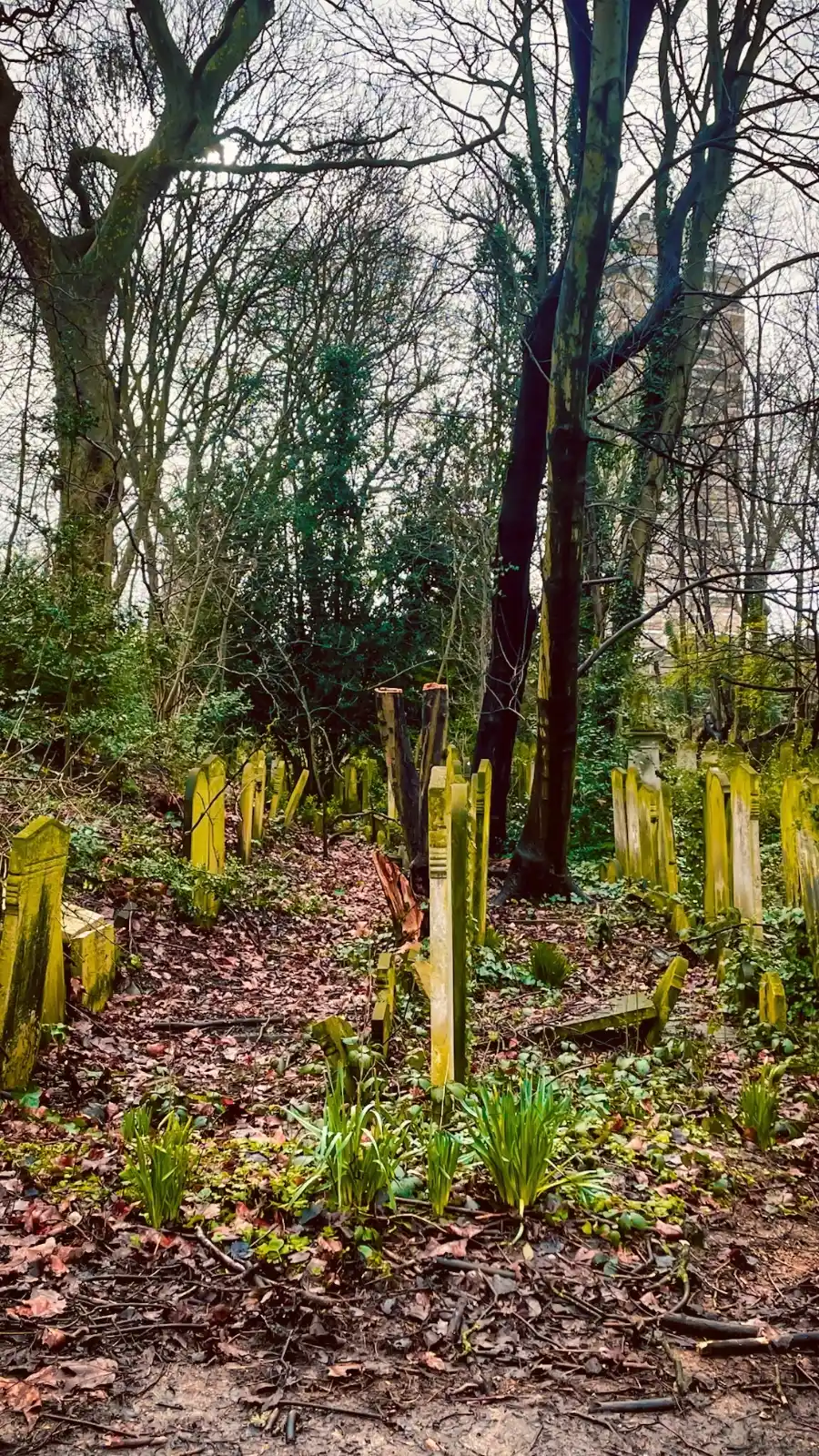 how to visit tower hamlets cemetery park east london mile end photos - victorian magnificent seven cemeteries in london - free things to do in london off the beaten path autumn spring - nature in london - beautiful sculptures in london