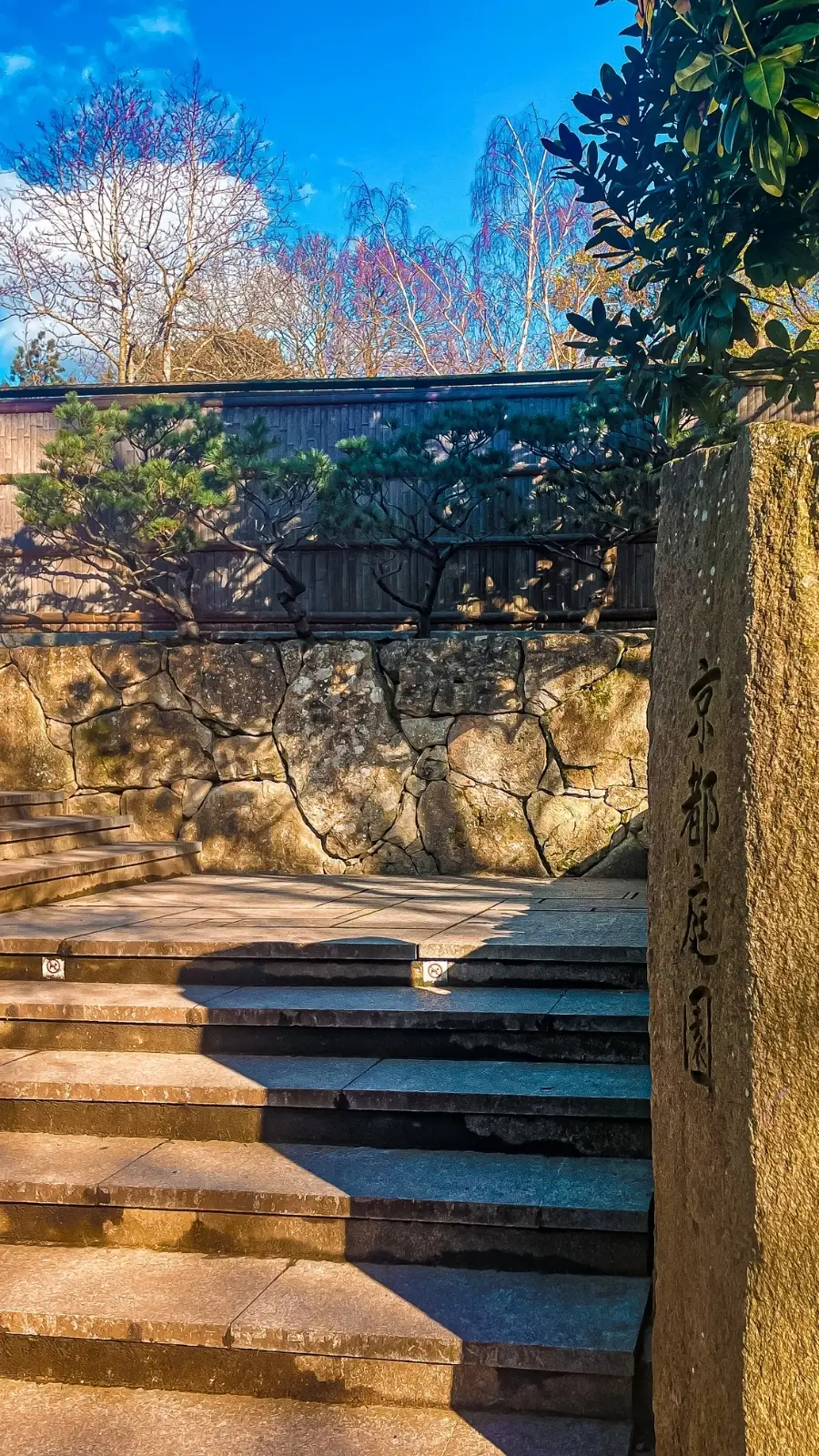 London's Pocket Parks: Japanese Kyoto Garden, Holland Park - most beautiful secret gardens in london bucket list - spring in london - cherry blossom in london travel guide - things to do near notting hill