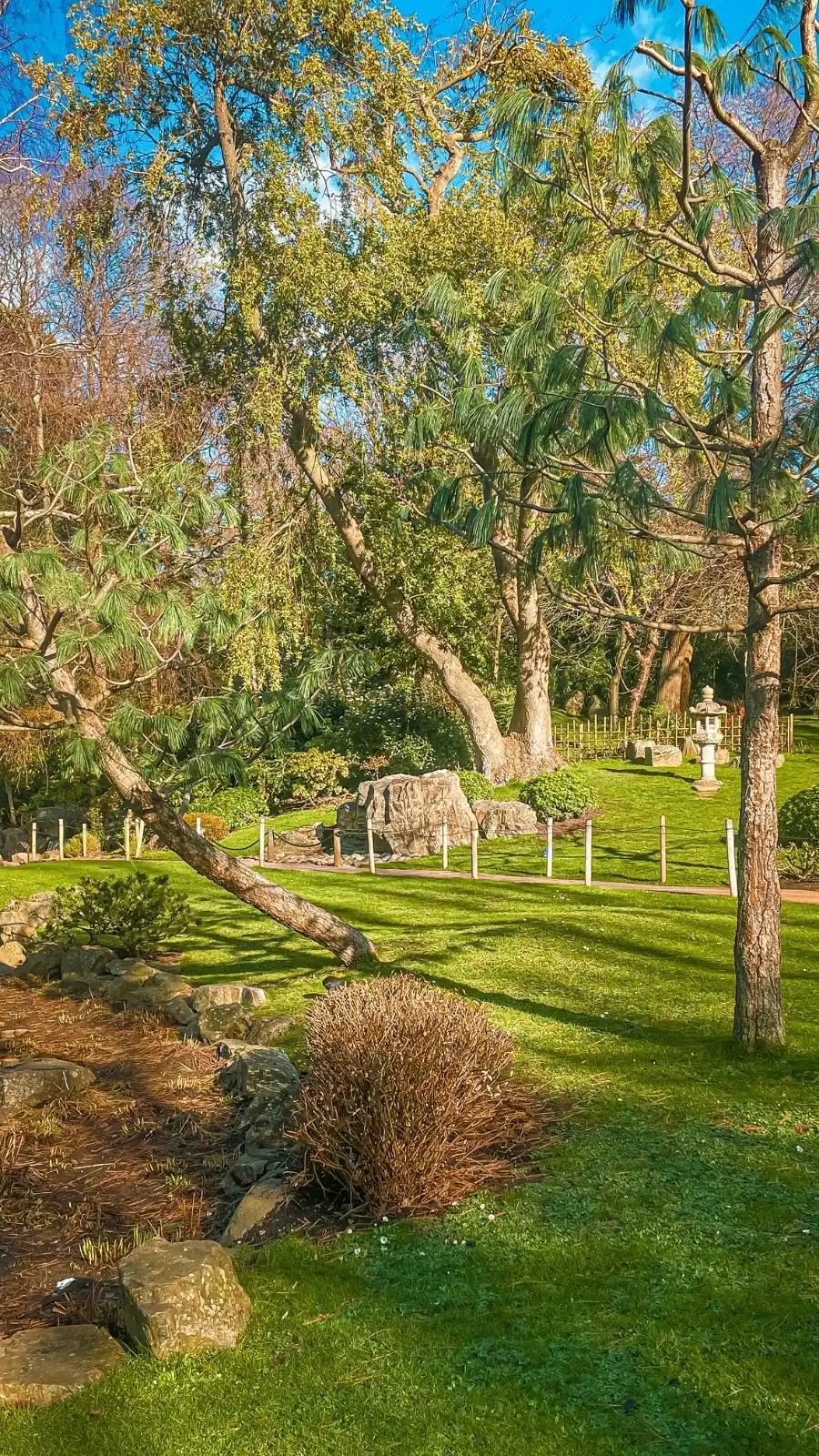 London's Pocket Parks: Japanese Kyoto Garden, Holland Park - most beautiful secret gardens in london bucket list - spring in london - cherry blossom in london travel guide - things to do near notting hill