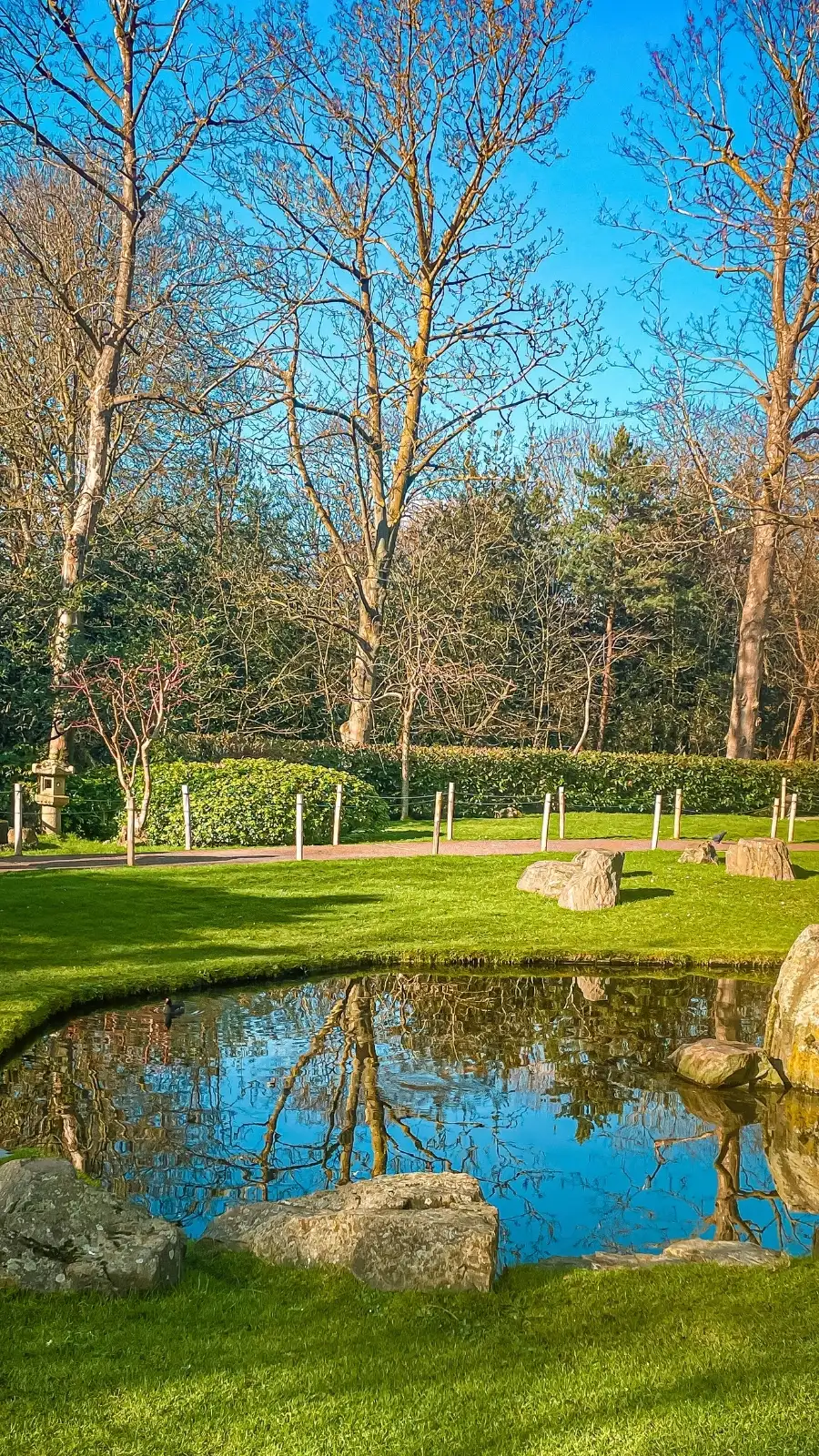London's Pocket Parks: Japanese Kyoto Garden, Holland Park - most beautiful secret gardens in london bucket list - spring in london - cherry blossom in london travel guide - things to do near notting hill