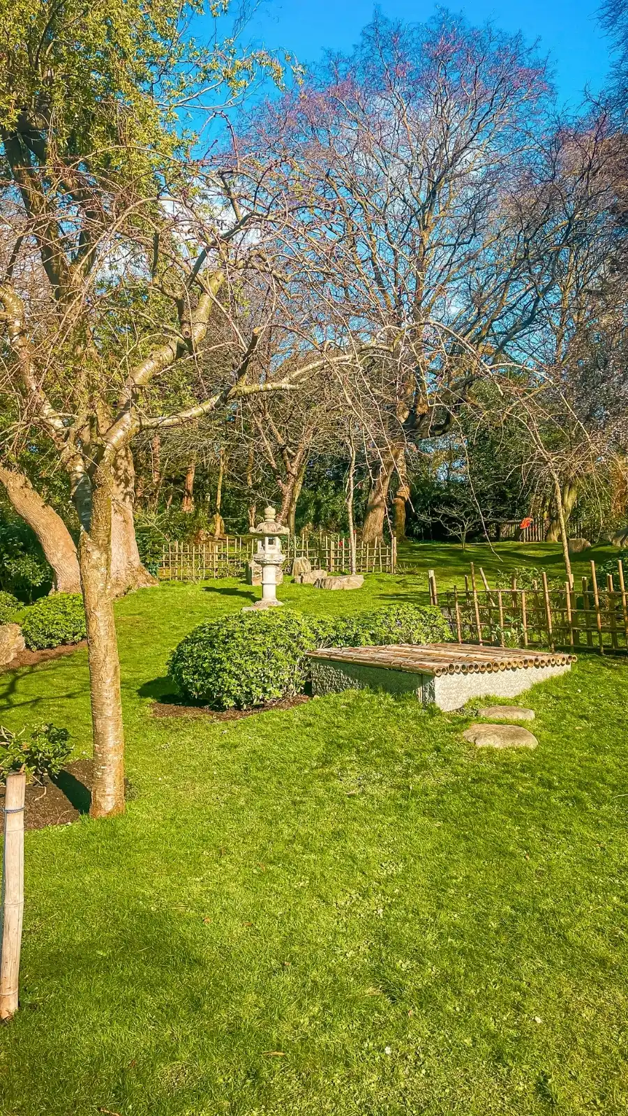 London's Pocket Parks: Japanese Kyoto Garden, Holland Park - most beautiful secret gardens in london bucket list - spring in london - cherry blossom in london travel guide - things to do near notting hill - beautiful nature in london
