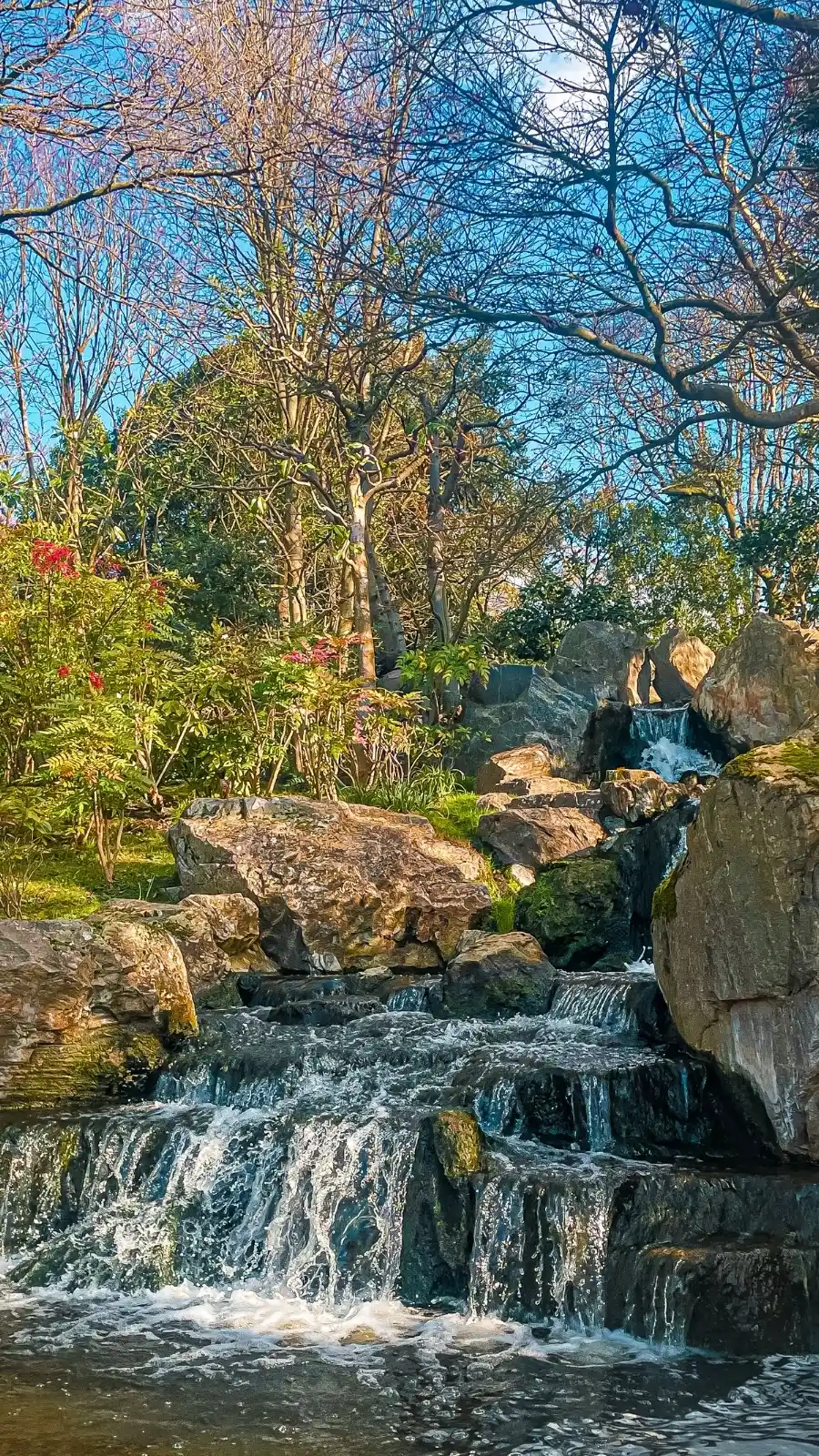 London's Pocket Parks: Japanese Kyoto Garden, Holland Park - most beautiful secret gardens in london bucket list - spring in london - cherry blossom in london travel guide - things to do near notting hill - beautiful nature in london