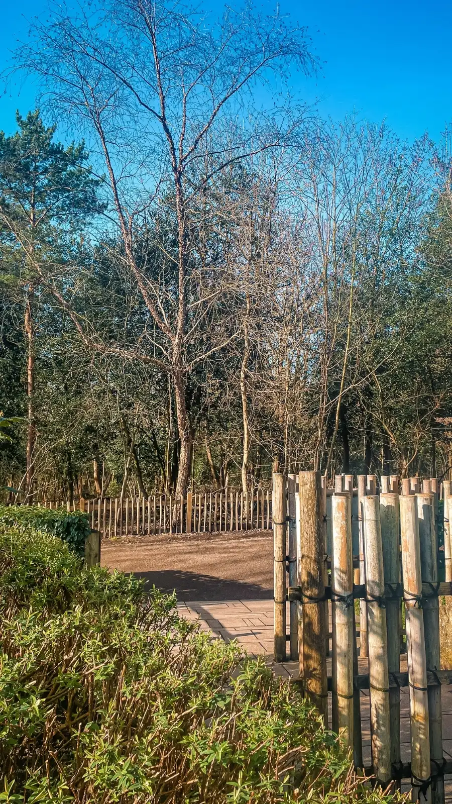 London's Pocket Parks: Japanese Kyoto Garden, Holland Park - most beautiful secret gardens in london bucket list - spring in london - cherry blossom in london travel guide - things to do near notting hill - beautiful nature in london