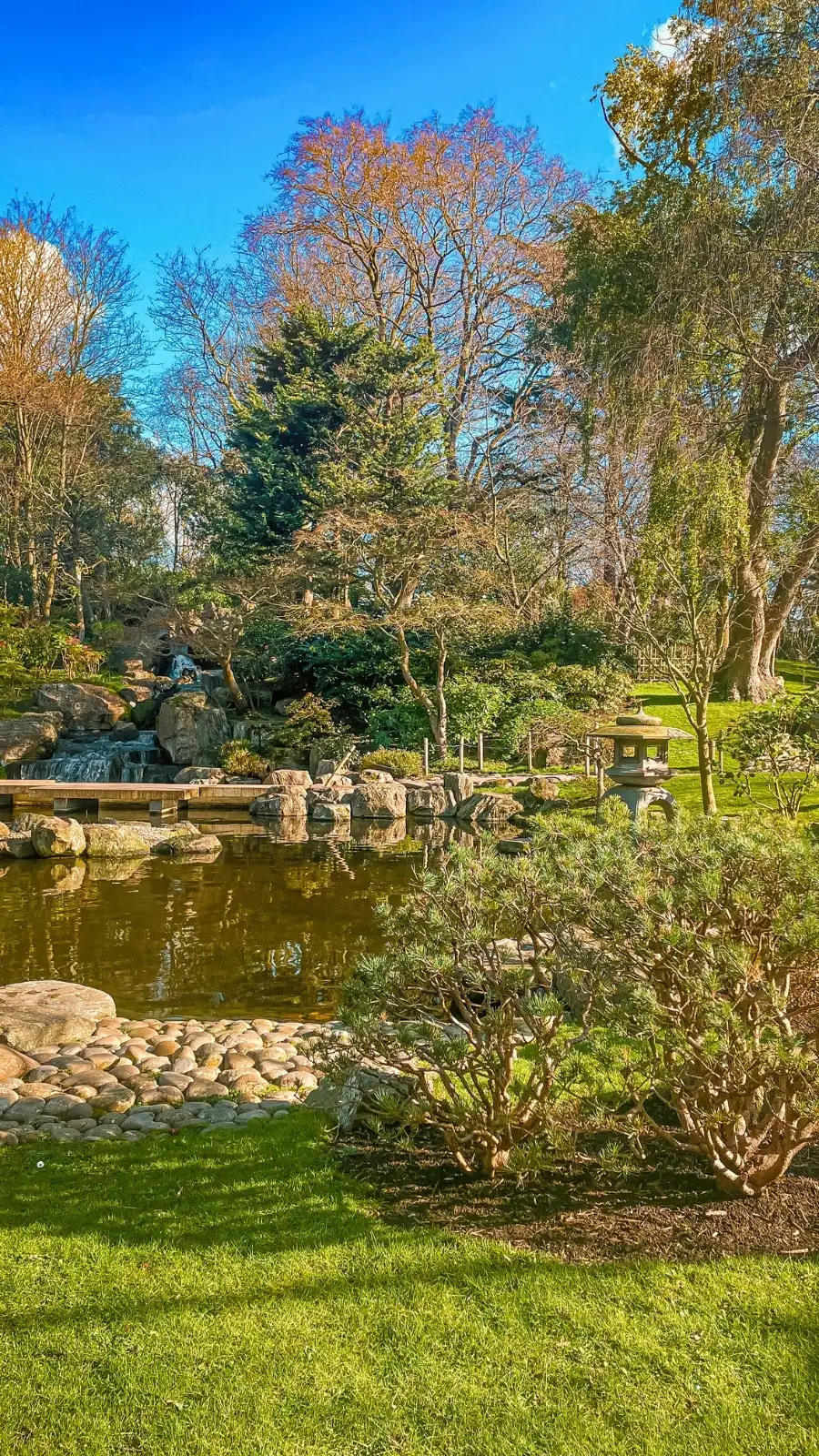 London's Pocket Parks: Japanese Kyoto Garden, Holland Park - most beautiful secret gardens in london bucket list - spring in london - cherry blossom in london travel guide - things to do near notting hill - beautiful nature in london
