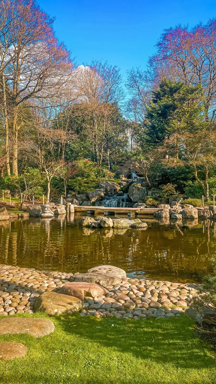London's Pocket Parks: Japanese Kyoto Garden, Holland Park - most beautiful secret gardens in london bucket list - spring in london - cherry blossom in london travel guide - things to do near notting hill - beautiful nature in london