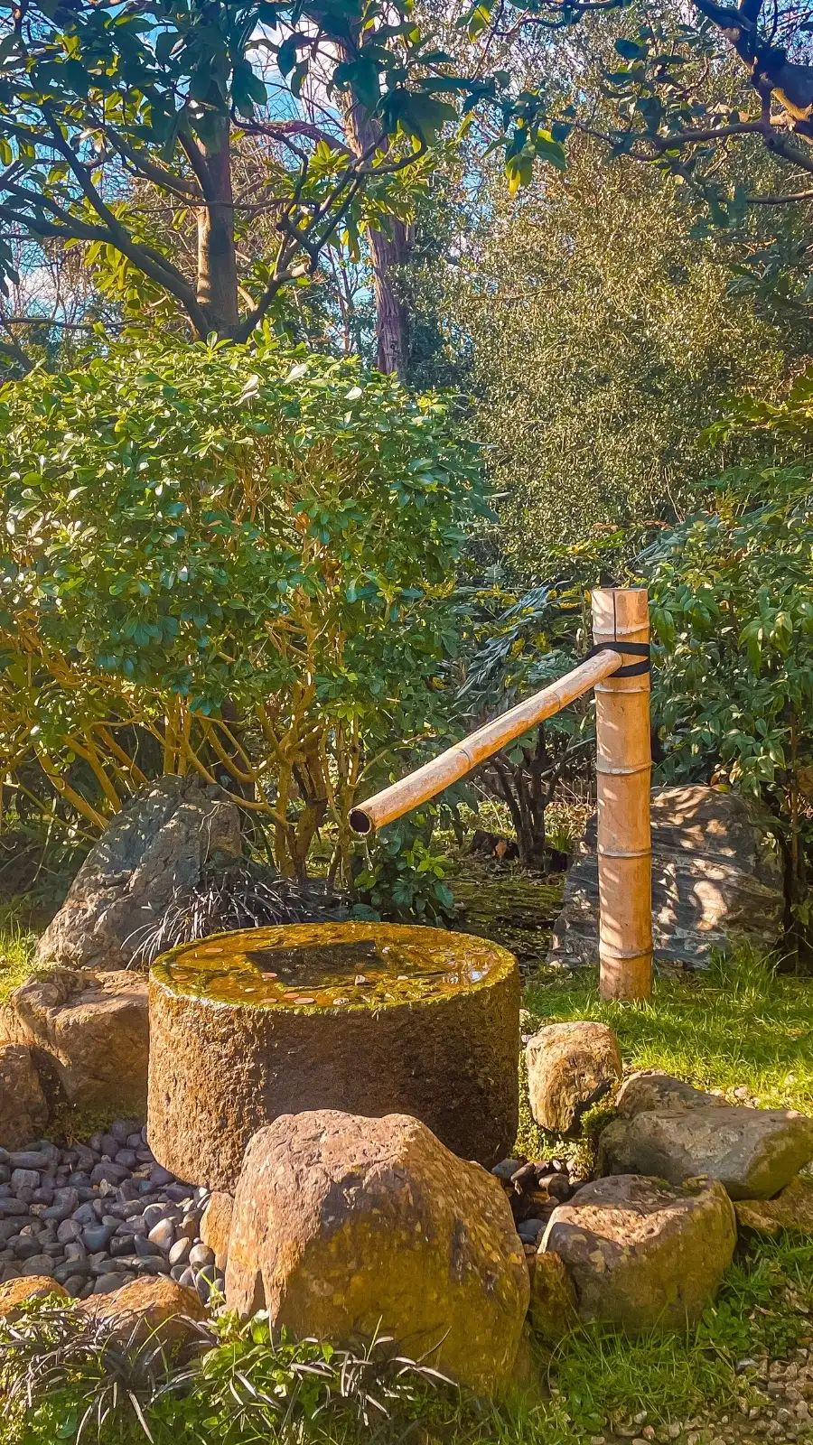 London's Pocket Parks: Japanese Kyoto Garden, Holland Park - most beautiful secret gardens in london bucket list - spring in london - cherry blossom in london travel guide - things to do near notting hill - beautiful nature in london