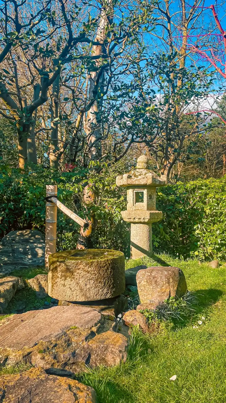 London's Pocket Parks: Japanese Kyoto Garden, Holland Park - most beautiful secret gardens in london bucket list - spring in london - cherry blossom in london travel guide - things to do near notting hill - beautiful nature in london