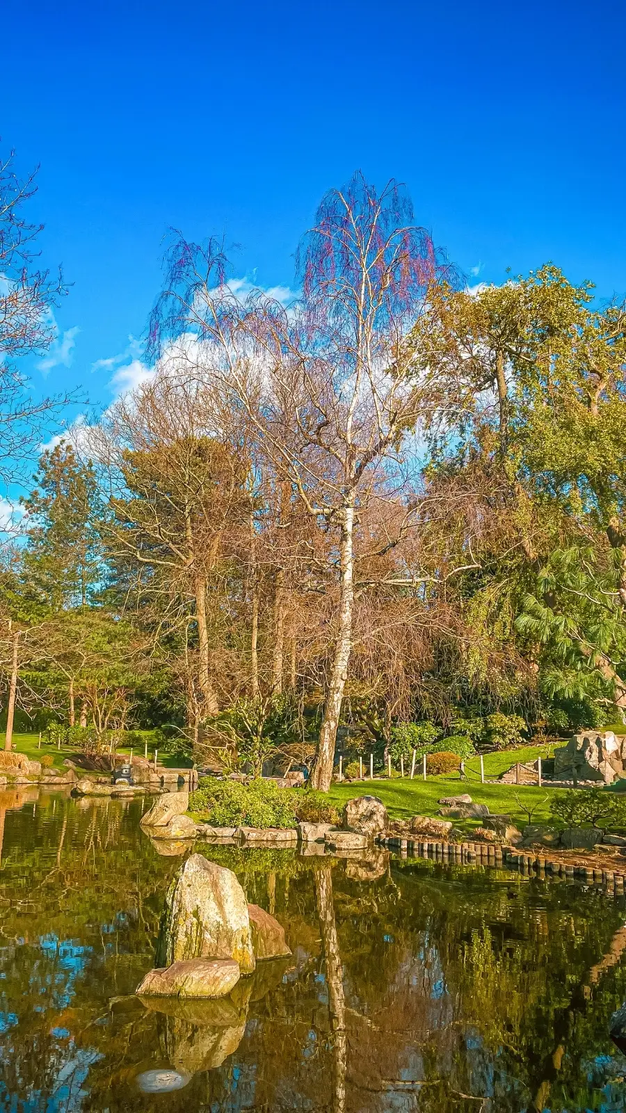 London's Pocket Parks: Japanese Kyoto Garden, Holland Park - most beautiful secret gardens in london bucket list - spring in london - cherry blossom in london travel guide - things to do near notting hill - beautiful nature in london