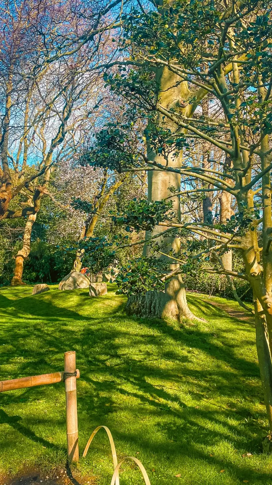 London's Pocket Parks: Japanese Kyoto Garden, Holland Park - most beautiful secret gardens in london bucket list - spring in london - cherry blossom in london travel guide - things to do near notting hill - beautiful nature in london - fukushima garden