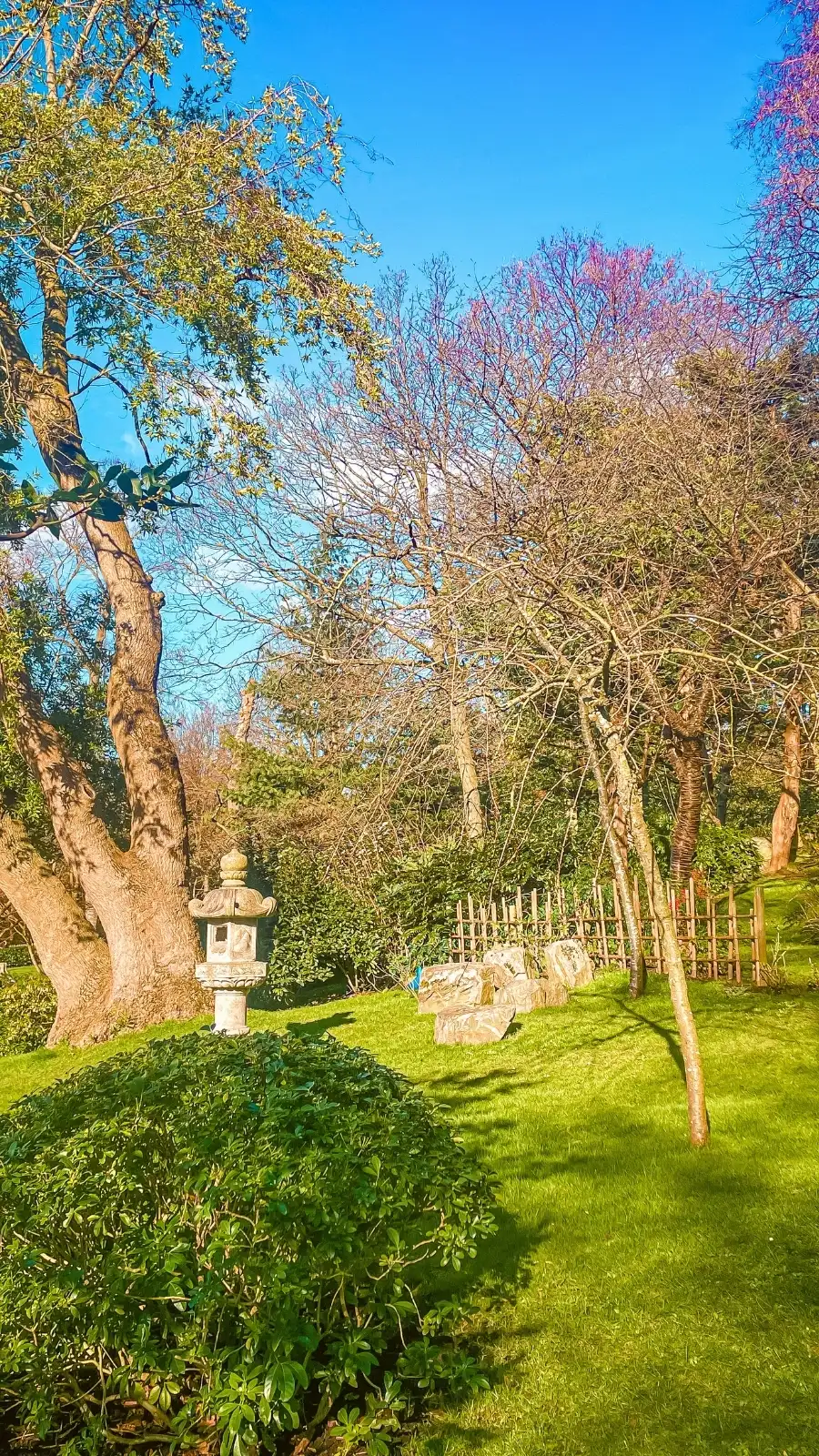 London's Pocket Parks: Japanese Kyoto Garden, Holland Park - most beautiful secret gardens in london bucket list - spring in london - cherry blossom in london travel guide - things to do near notting hill - beautiful nature in london - fukushima garden