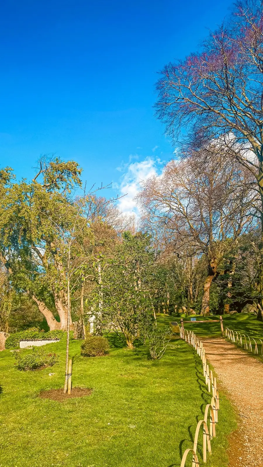 London's Pocket Parks: Japanese Kyoto Garden, Holland Park - most beautiful secret gardens in london bucket list - spring in london - cherry blossom in london travel guide - things to do near notting hill - beautiful nature in london - fukushima garden