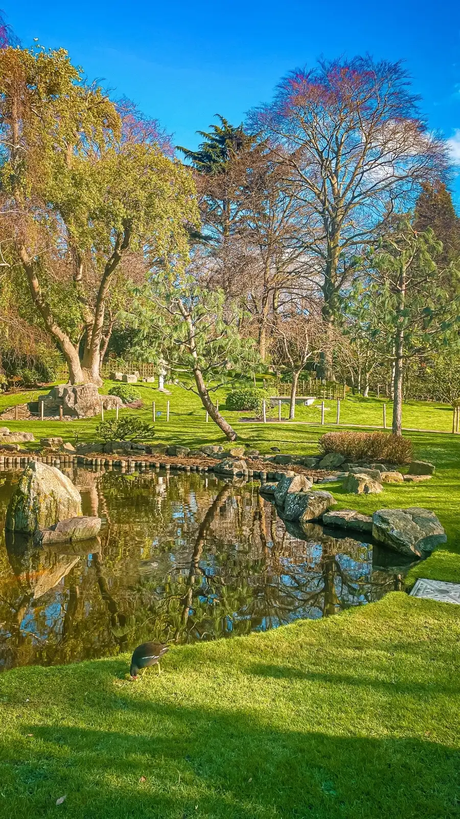 London's Pocket Parks: Japanese Kyoto Garden, Holland Park - most beautiful secret gardens in london bucket list - spring in london - cherry blossom in london travel guide - things to do near notting hill