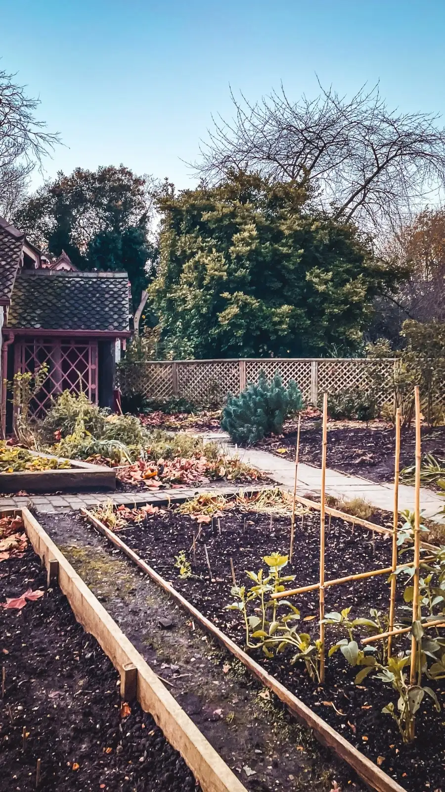 Visiting London's Duck Island Cottage, St James's Park - best hidden gems in london travel guide bucket list - beautiful nature in london