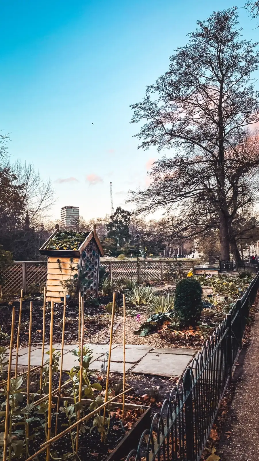 Visiting London's Duck Island Cottage, St James's Park - best hidden gems in london travel guide bucket list - beautiful nature in london