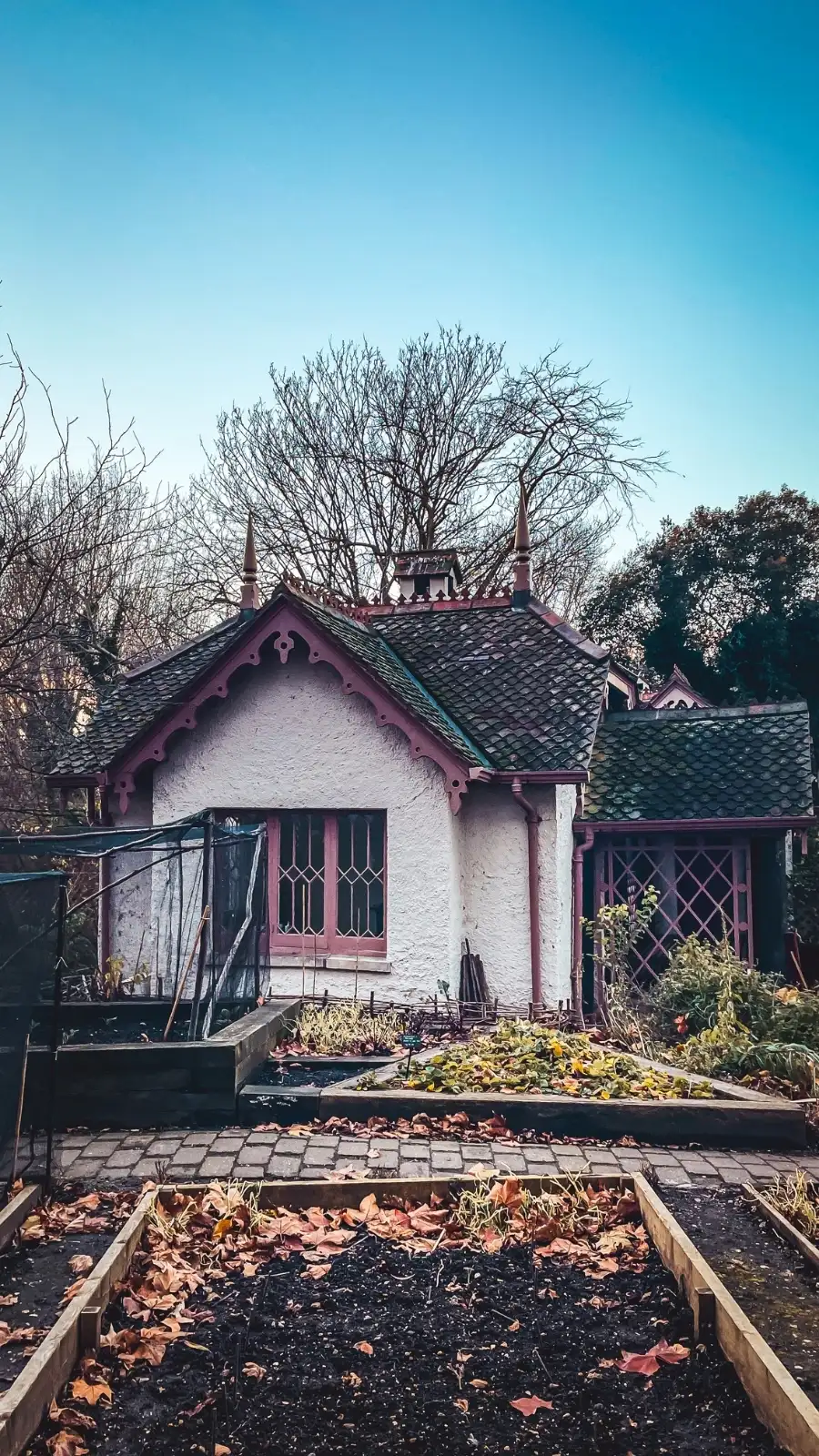 Visiting London's Duck Island Cottage, St James's Park - best hidden gems in london travel guide bucket list - beautiful nature in london
