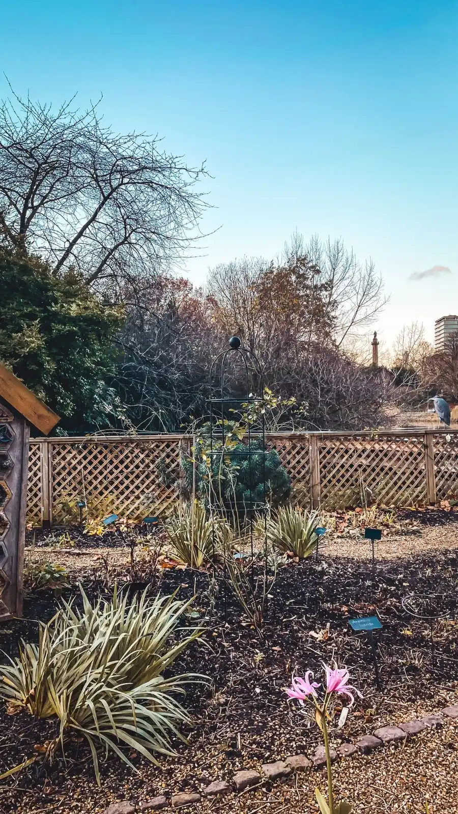 Visiting London's Duck Island Cottage, St James's Park - best hidden gems in london travel guide bucket list - beautiful nature in london
