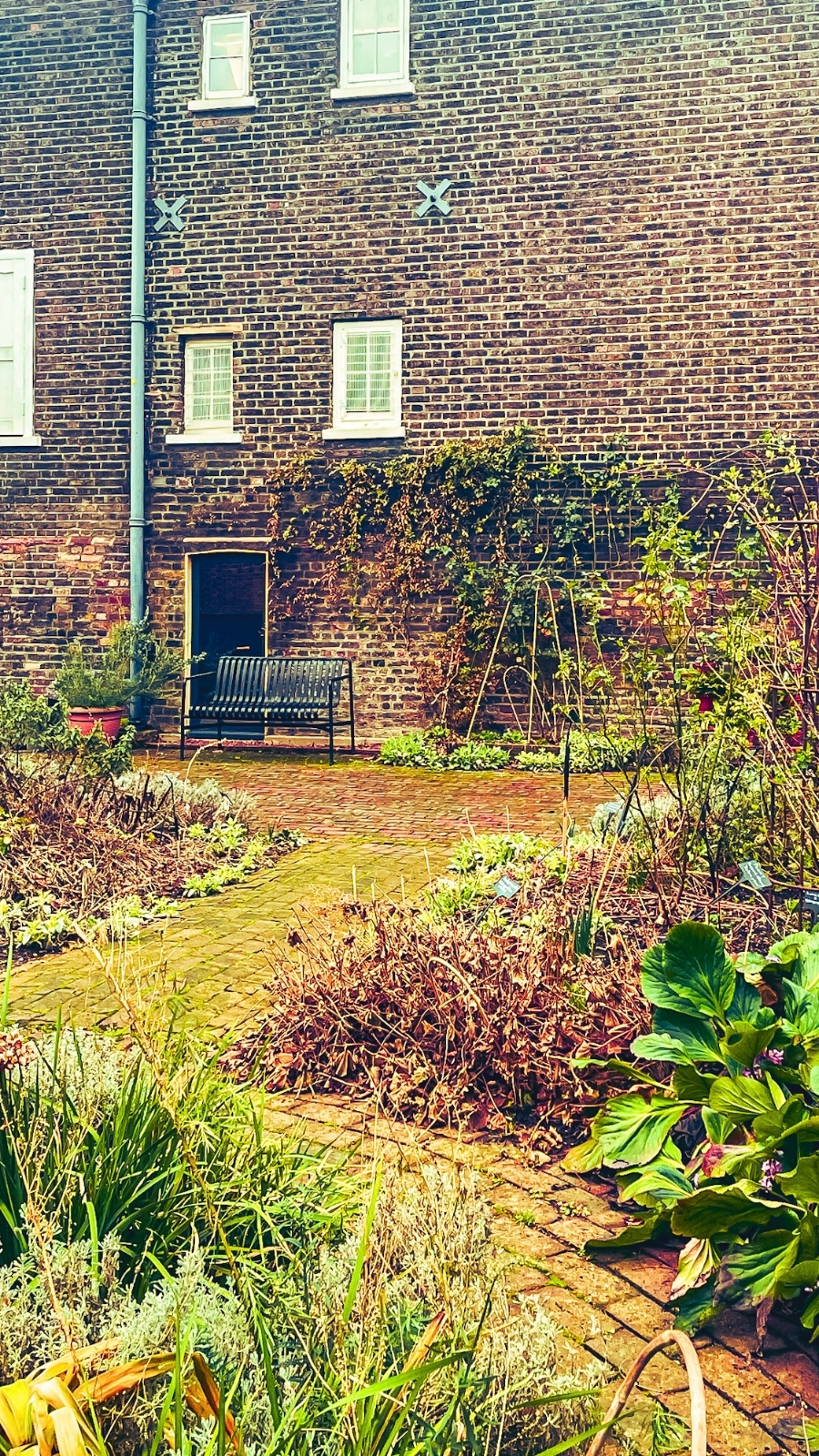 Secret Garden at the Museum of the Home, Hoxton