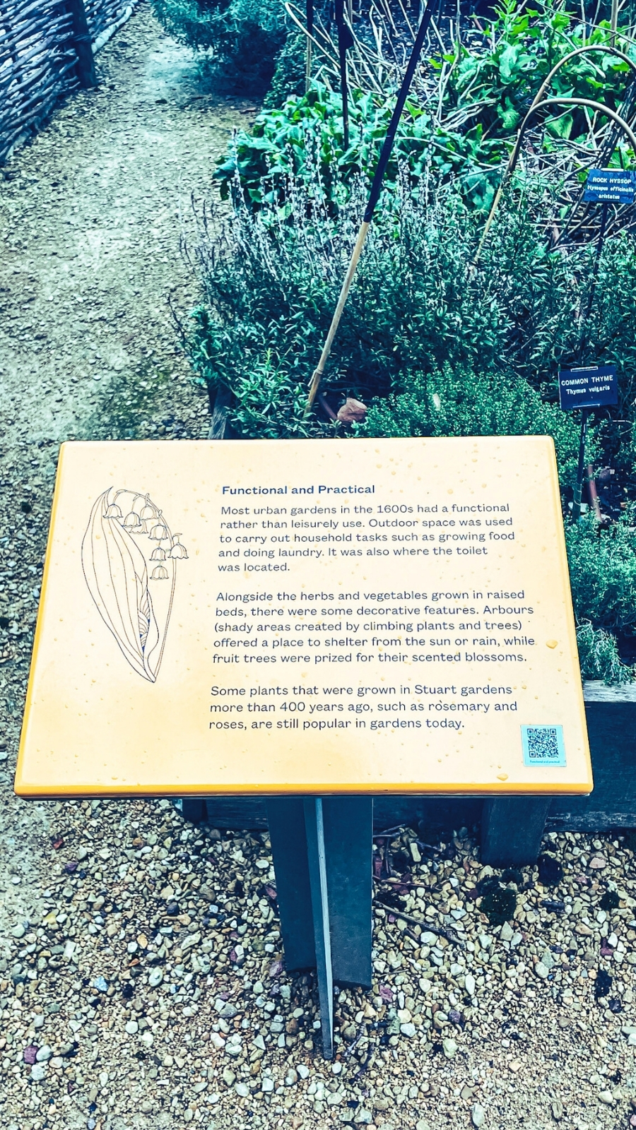 Secret Garden at the Museum of the Home, Hoxton