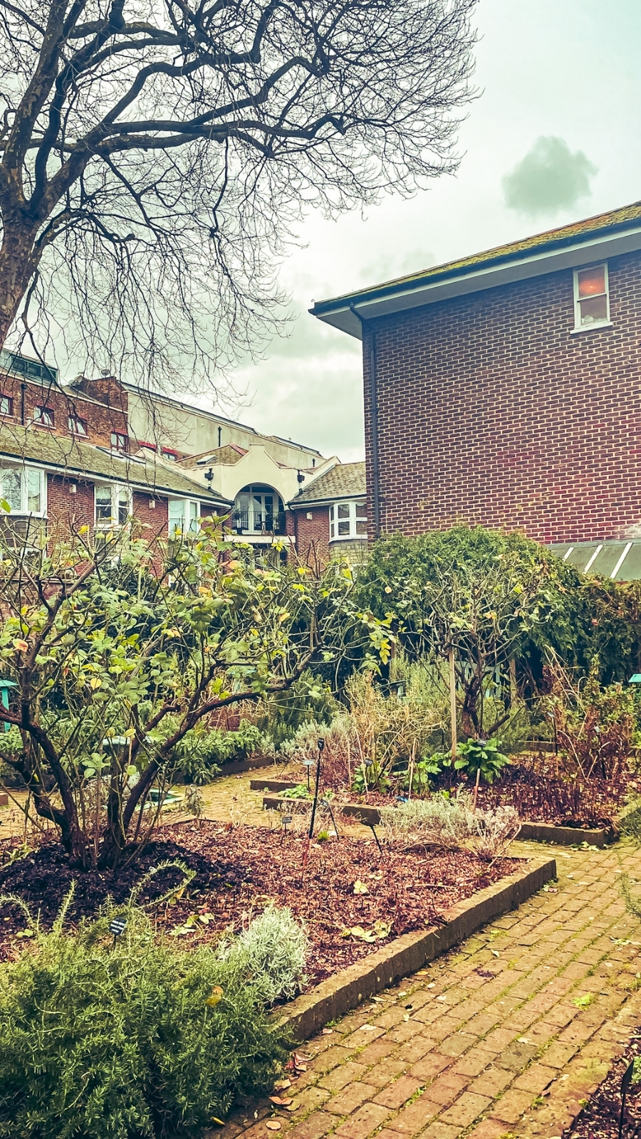 Secret Garden at the Museum of the Home, Hoxton
