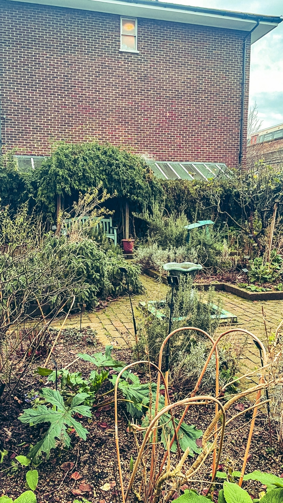 Secret Garden at the Museum of the Home, Hoxton