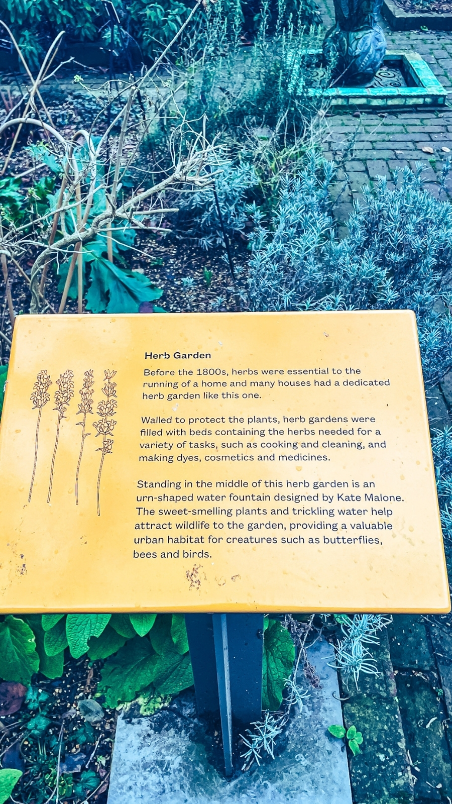 Secret Garden at the Museum of the Home, Hoxton
