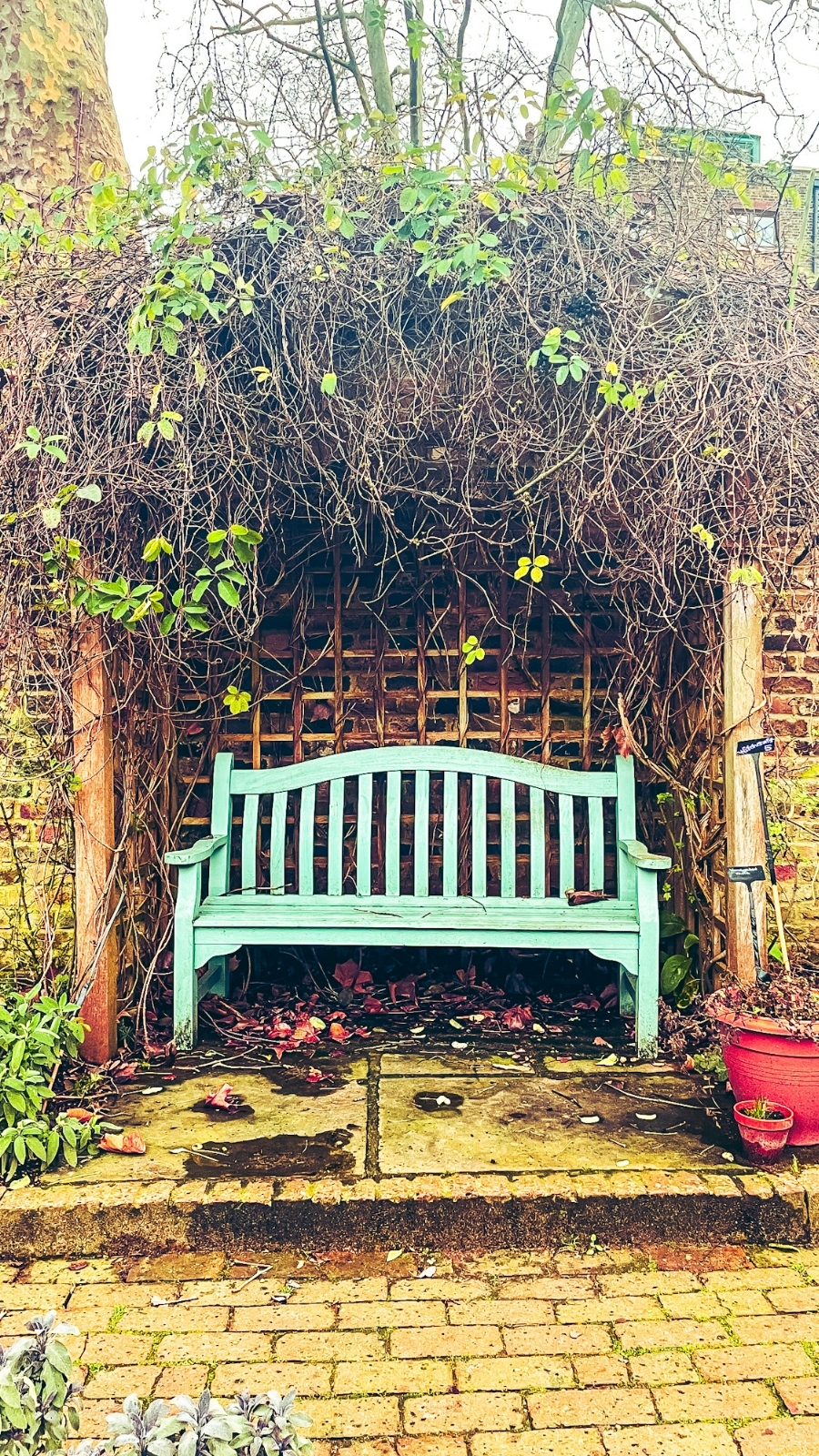 Secret Garden at the Museum of the Home, Hoxton