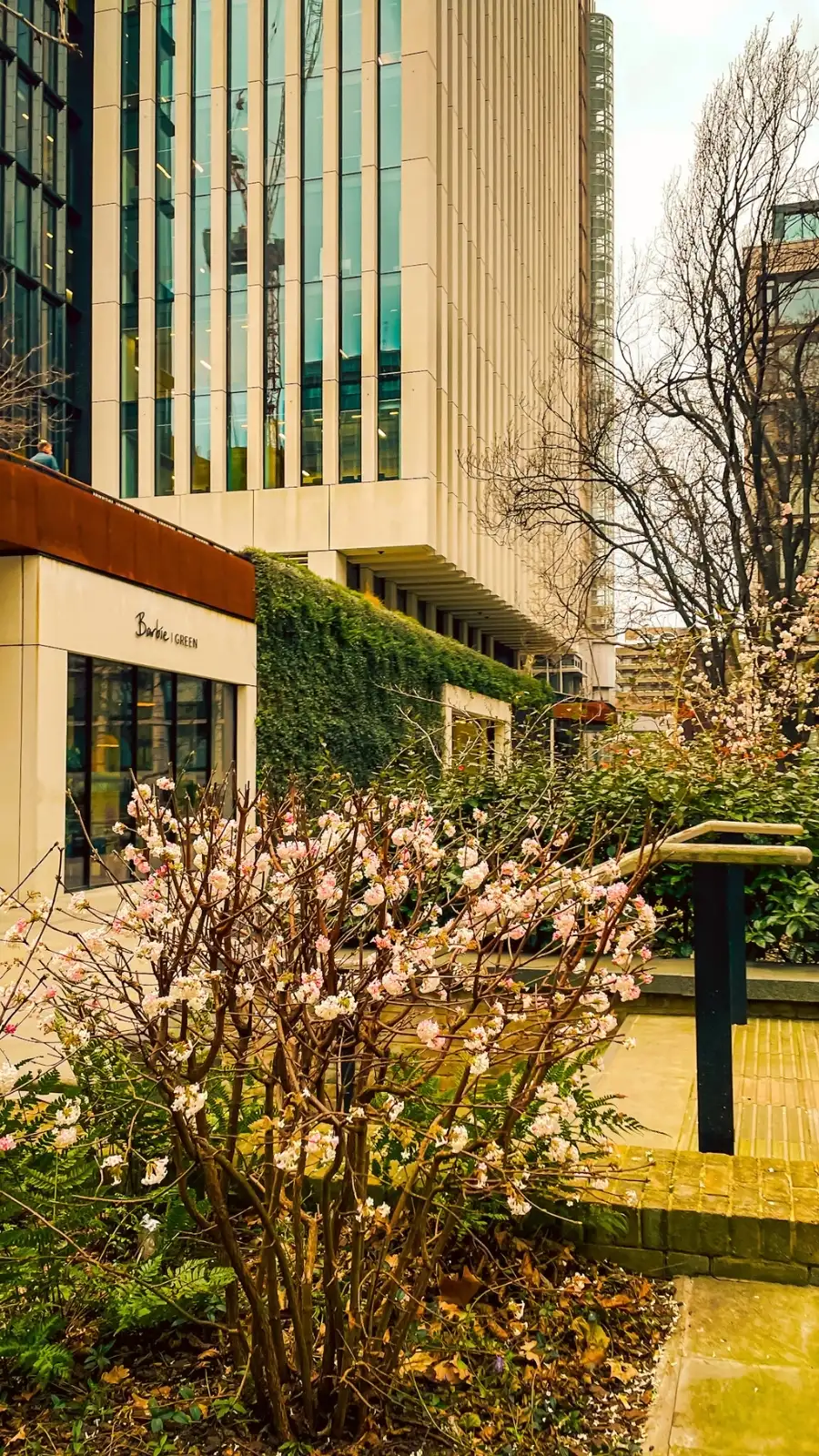 London's Hidden St Alphage Garden: Church Ruins in the City of london travel guide - most secret places in london off the beaten path bucket list - historical sites in london - secret photo spots