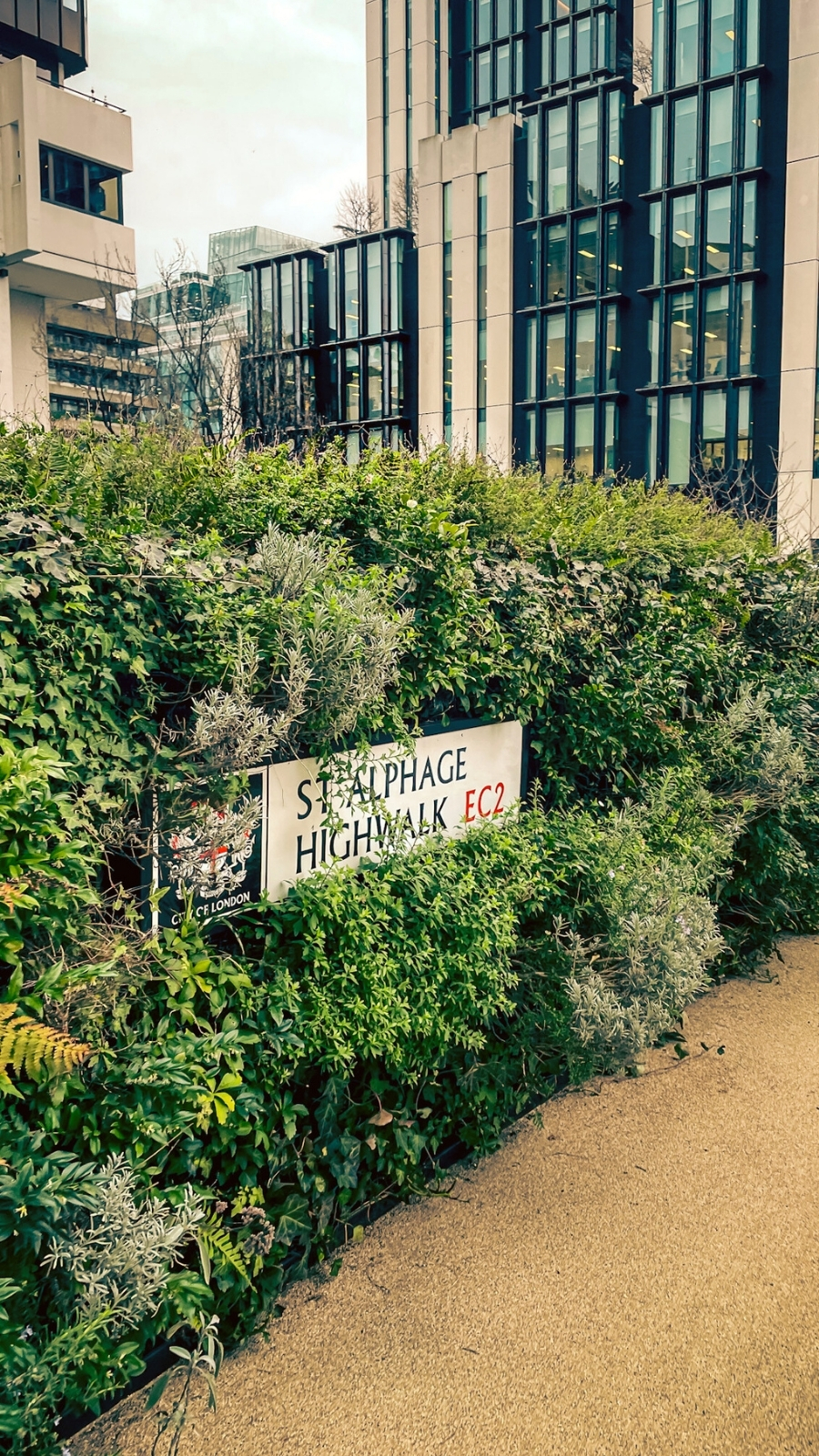 London's Hidden St Alphage Garden: Church Ruins in the City of london travel guide - most secret places in london off the beaten path bucket list - historical sites in london - secret photo spots st alphage highwalk