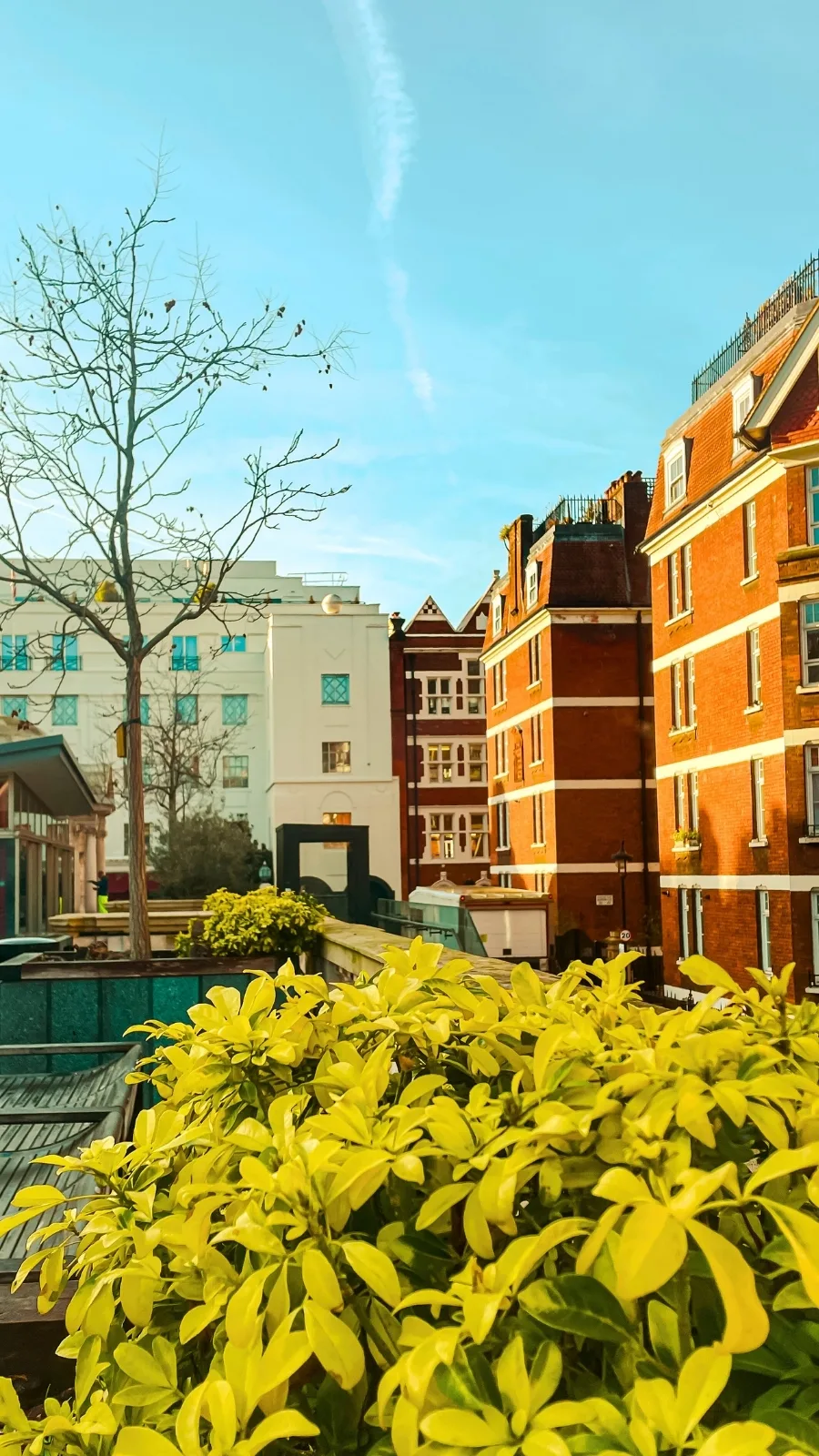 secret gardens in london brown hart gardens mayfair hidden gems - best things to do in central london off the beaten path - beautiful buildings in london fountains