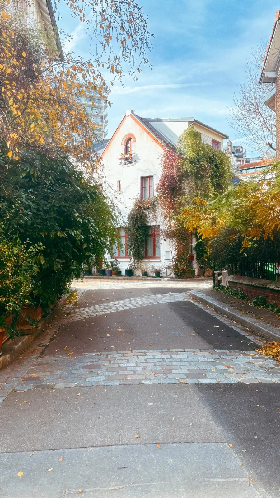 Rue des Orchid&eacute;es, Cit&eacute; Florale Paris 13