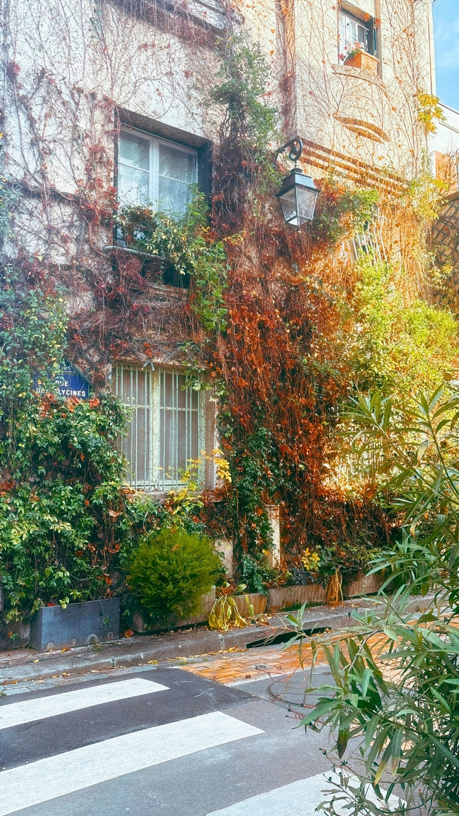 Cit&eacute; Florale, Paris 13th Arrondissement Photos