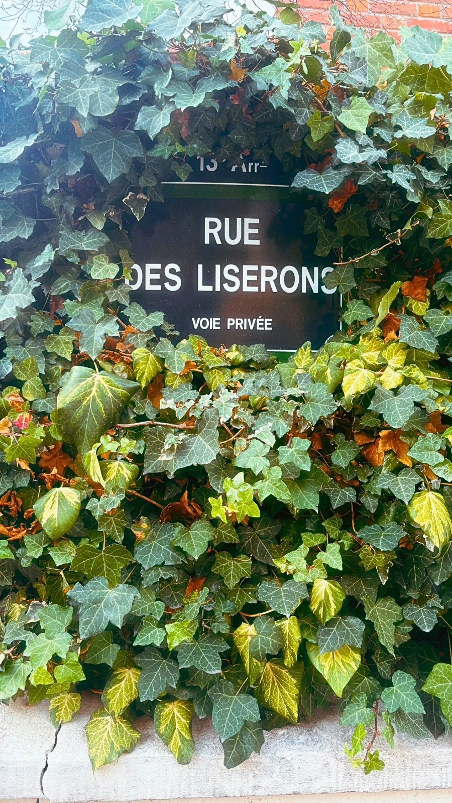 Rue des Liserons, Cit&eacute; Florale Paris 13