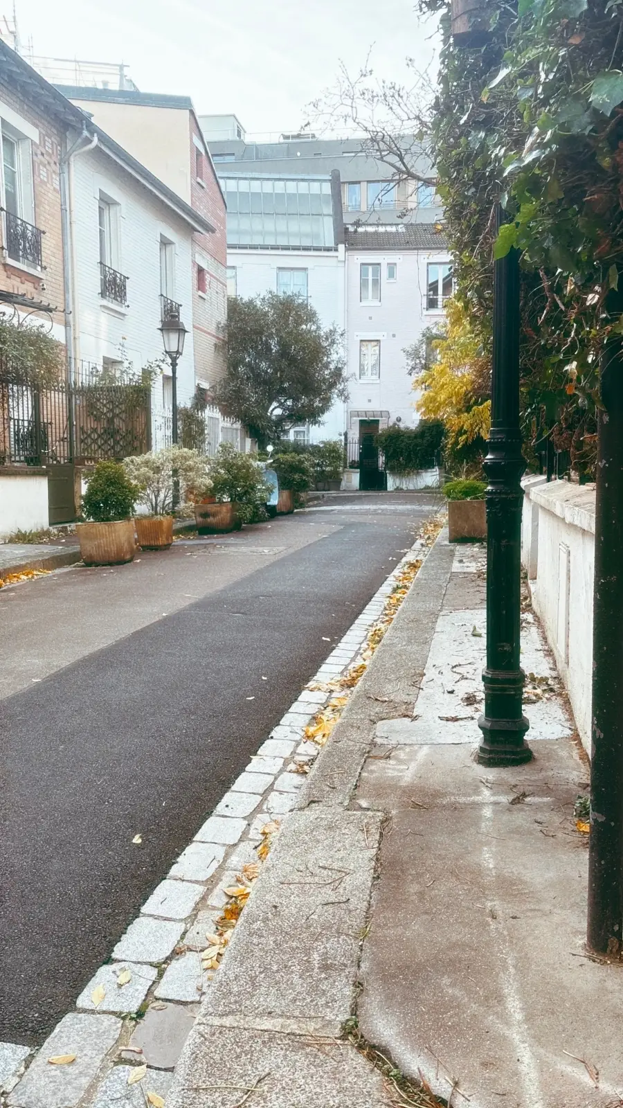 Rue des Volubilis, Cit&eacute; Florale Paris 13