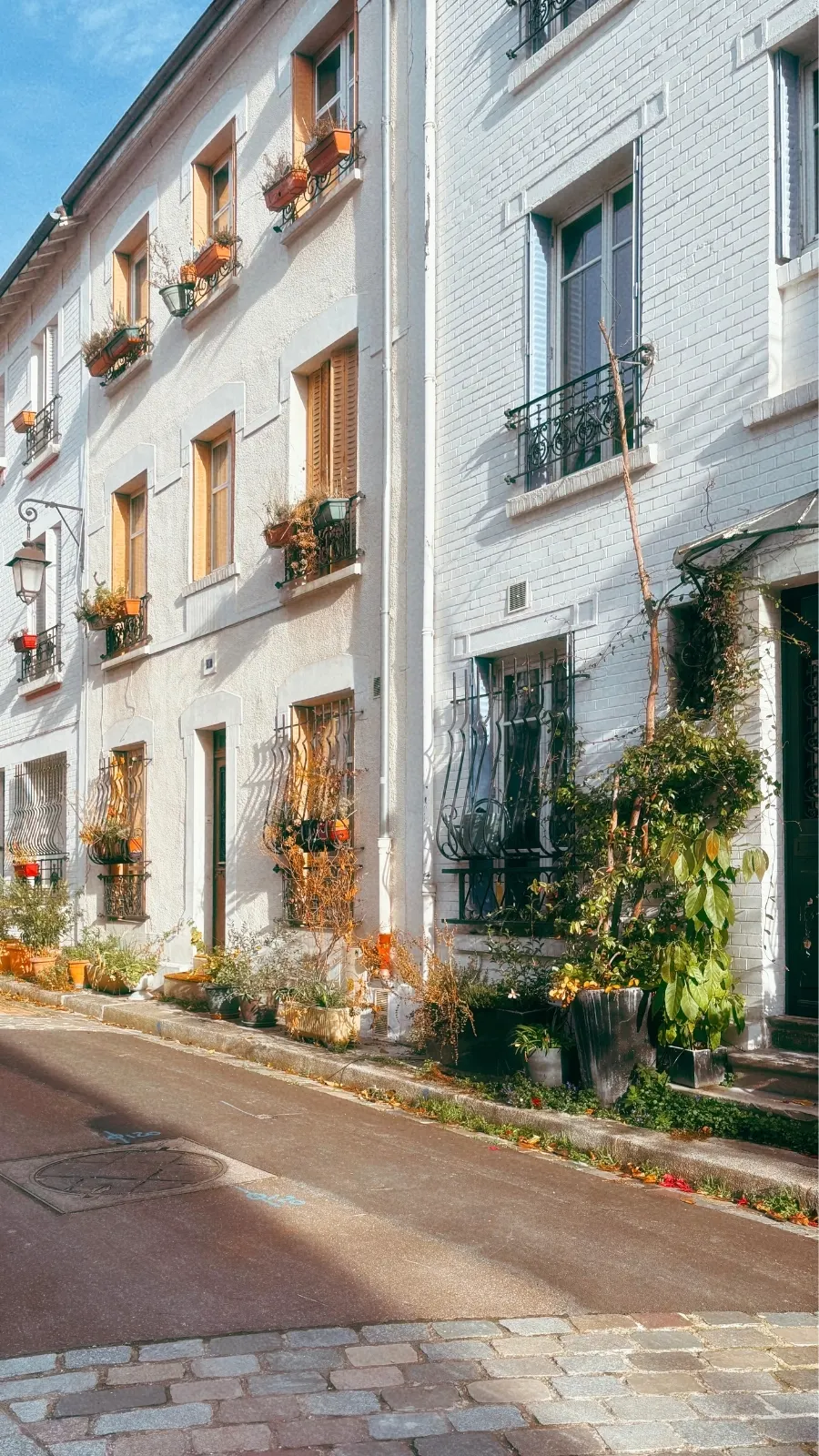 Rue des Iris, Cit&eacute; Florale Paris 13
