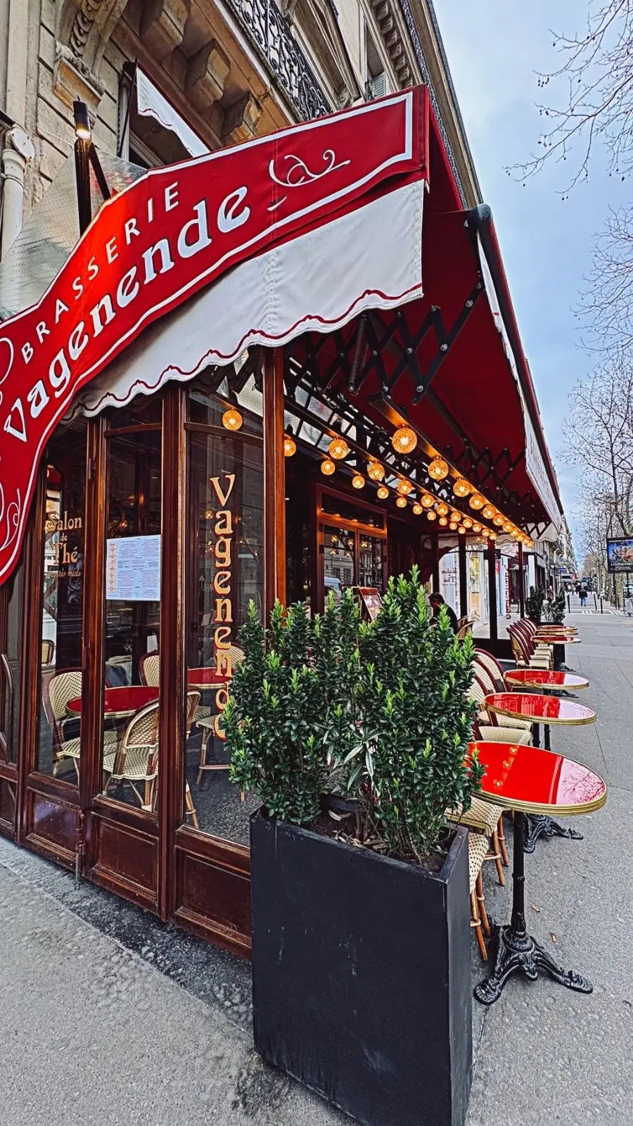 Brasserie Vagenende, Paris: A Luxe Art Nouveau Restaurant review photos - belle epoque restaurants chartier paris travel guide saint germain des pres