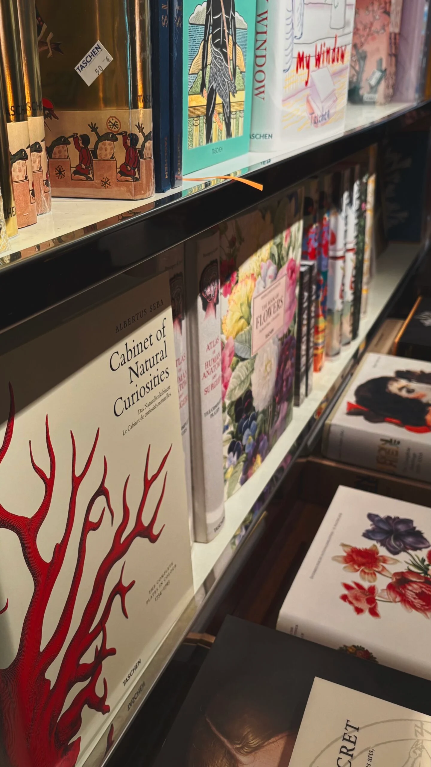 best bookstores in paris taschen rue de buci photos - shopping in saint germain des pres 6th arrondissement paris travel guide - beautiful shops in paris bucket list