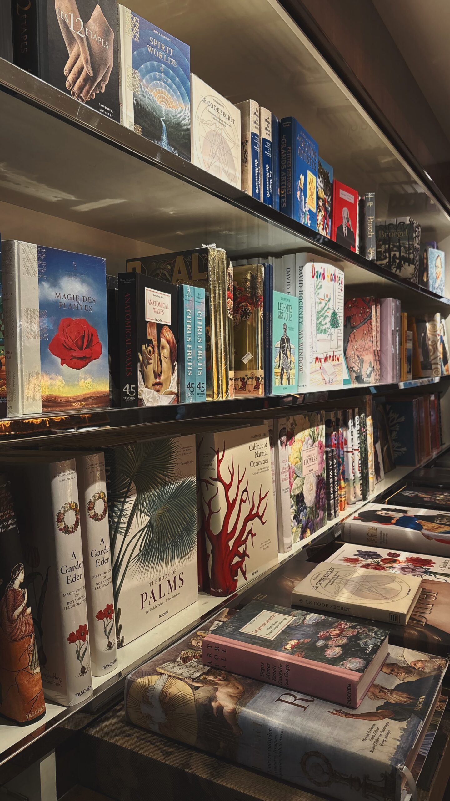 best bookstores in paris taschen rue de buci photos - shopping in saint germain des pres 6th arrondissement paris travel guide - beautiful shops in paris bucket list