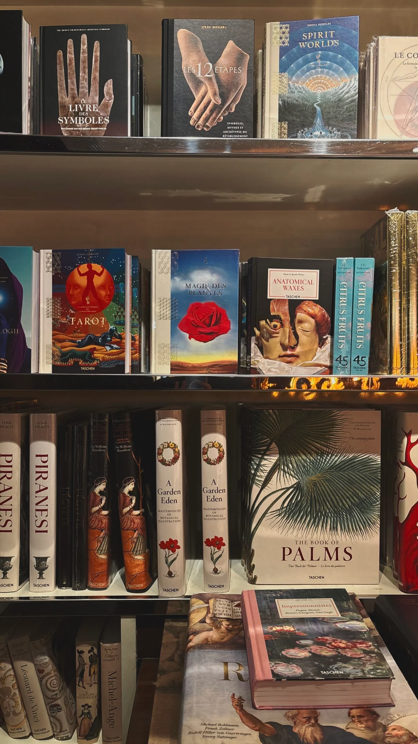 best bookstores in paris taschen rue de buci photos - shopping in saint germain des pres 6th arrondissement paris travel guide - beautiful shops in paris bucket list