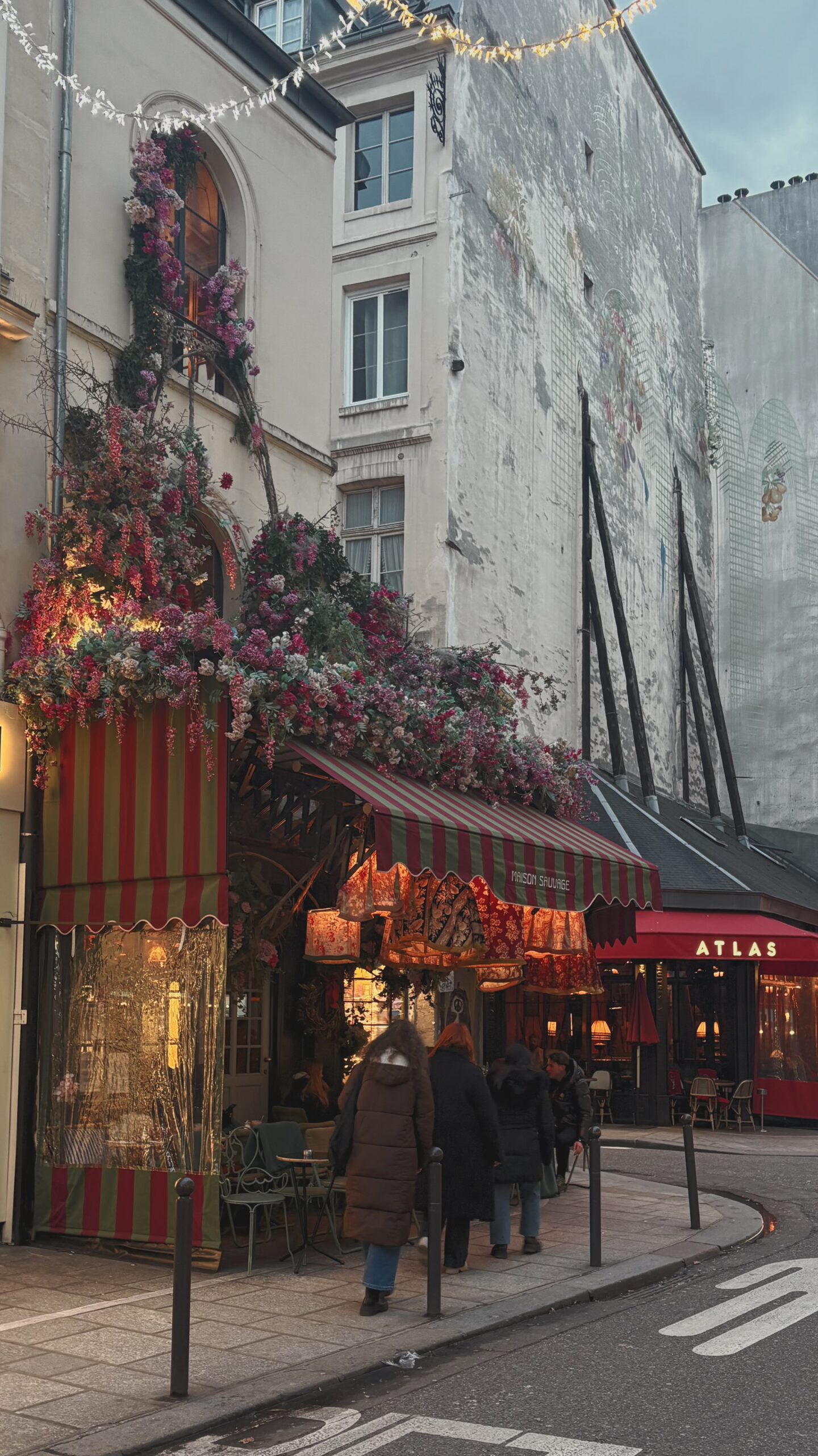 most instagrammable cafes in paris maison sauvage review saint germain des pres rue de buci photos - beautiful cafes in paris brunch breakfast lunch dinner - best things to do in 6th arrondissement paris bucket list hidden food gems - floral cafes paris 