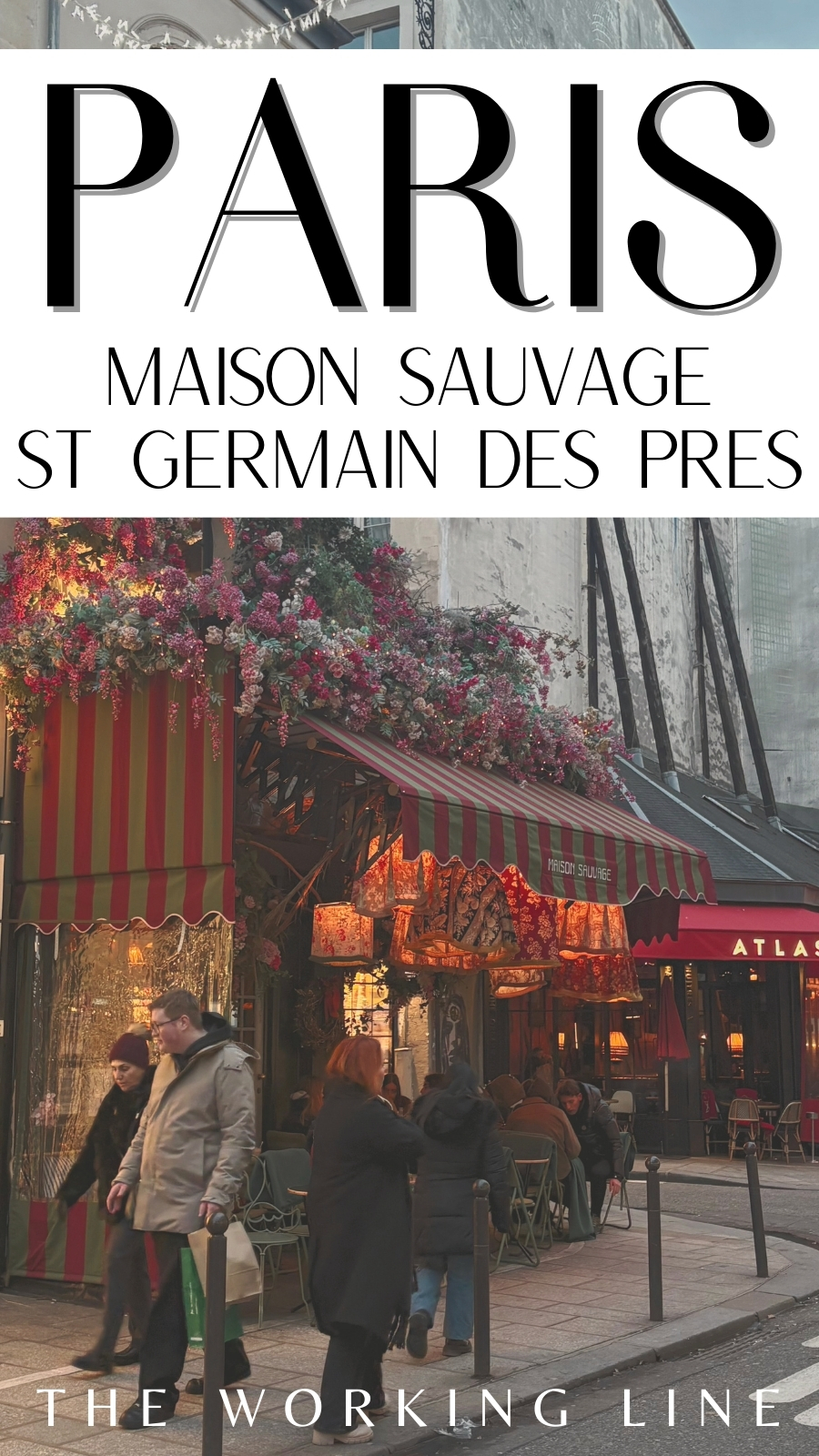 most instagrammable cafes in paris maison sauvage review saint germain des pres rue de buci photos - beautiful cafes in paris brunch breakfast lunch dinner - best things to do in 6th arrondissement paris bucket list hidden food gems - floral cafes paris 