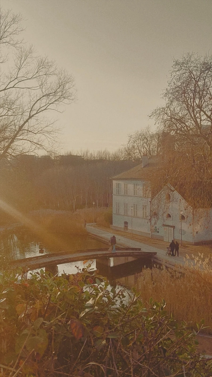 Best Free Views in Paris: Jardin Romantique at Parc de Bercy