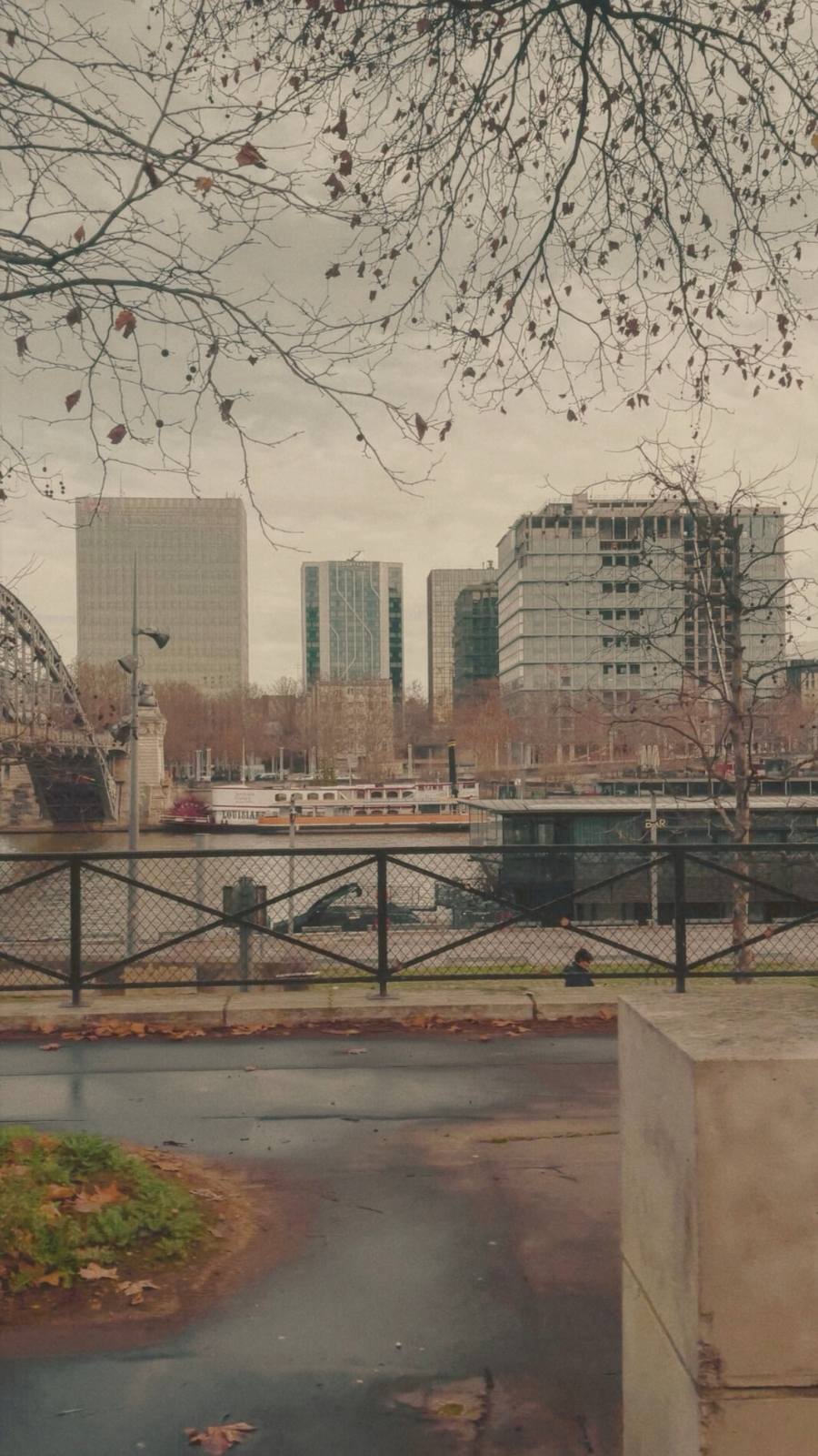 Best Free Views of Paris: Pont d'Austerlitz and Quai de la Rapee