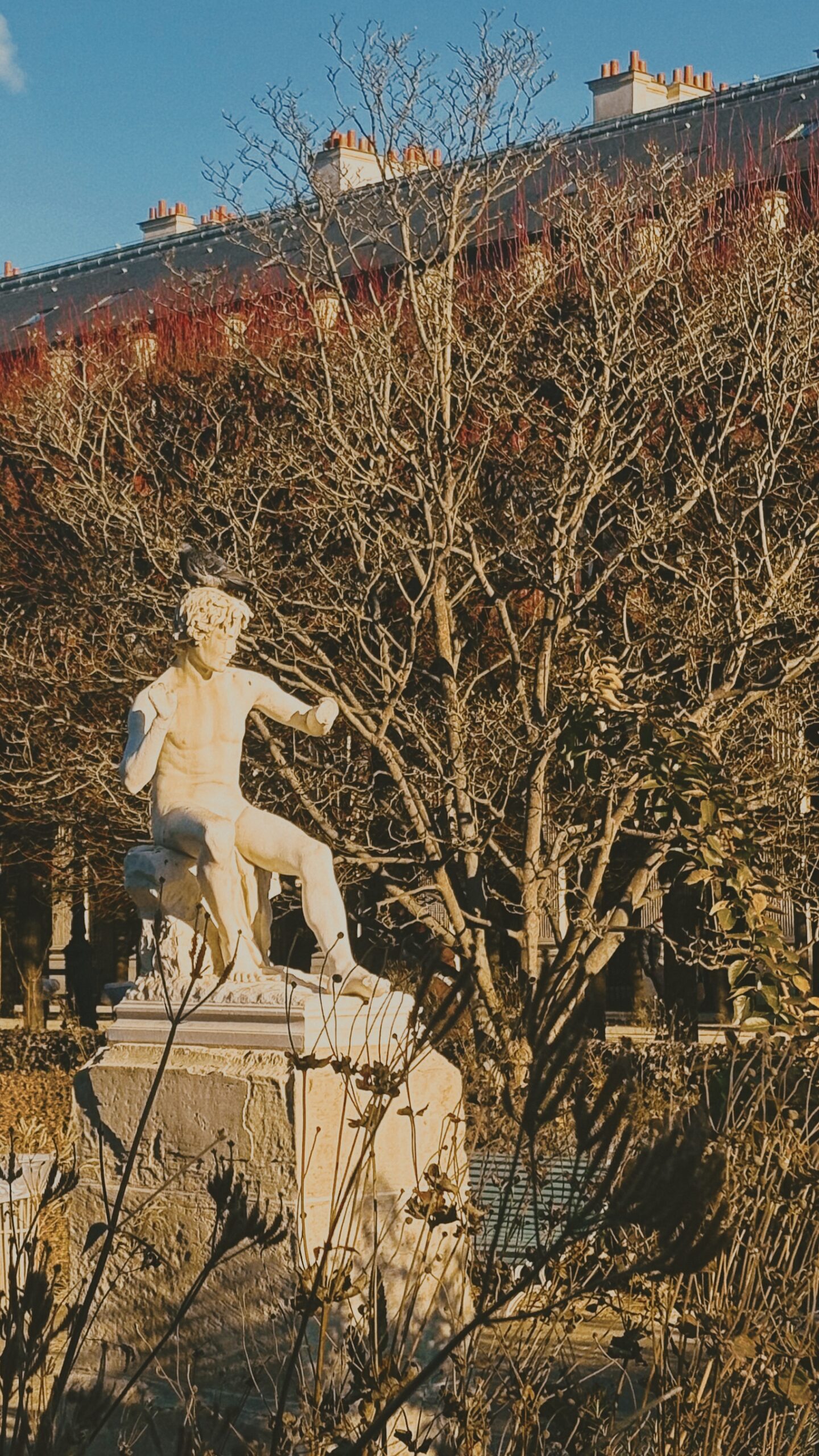 Things to Do in the 1st Arrondissement: Jardin du Palais Royal